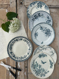 III. Set of 6 mismatched dinner plates