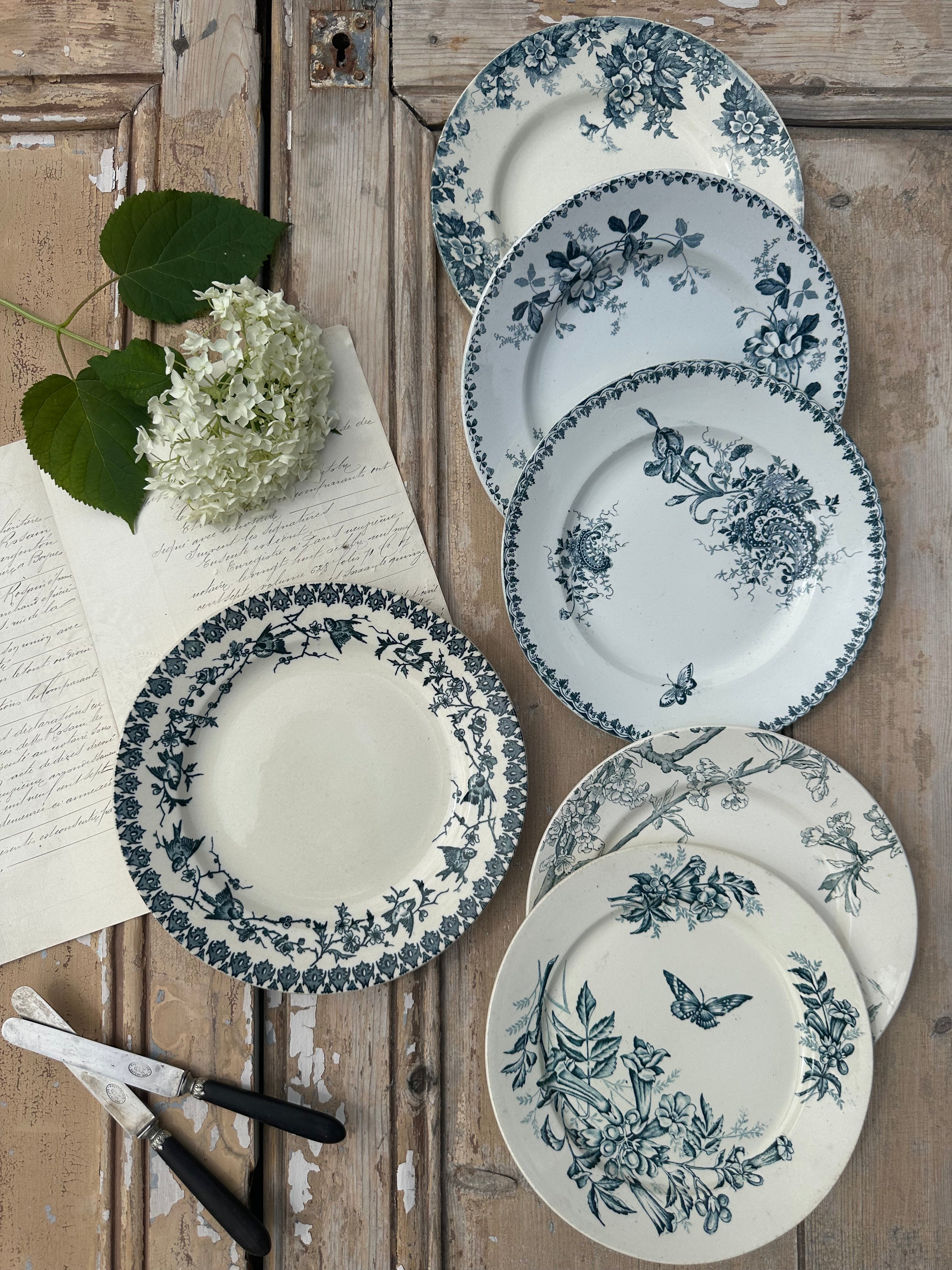 III. Set of 6 mismatched dinner plates