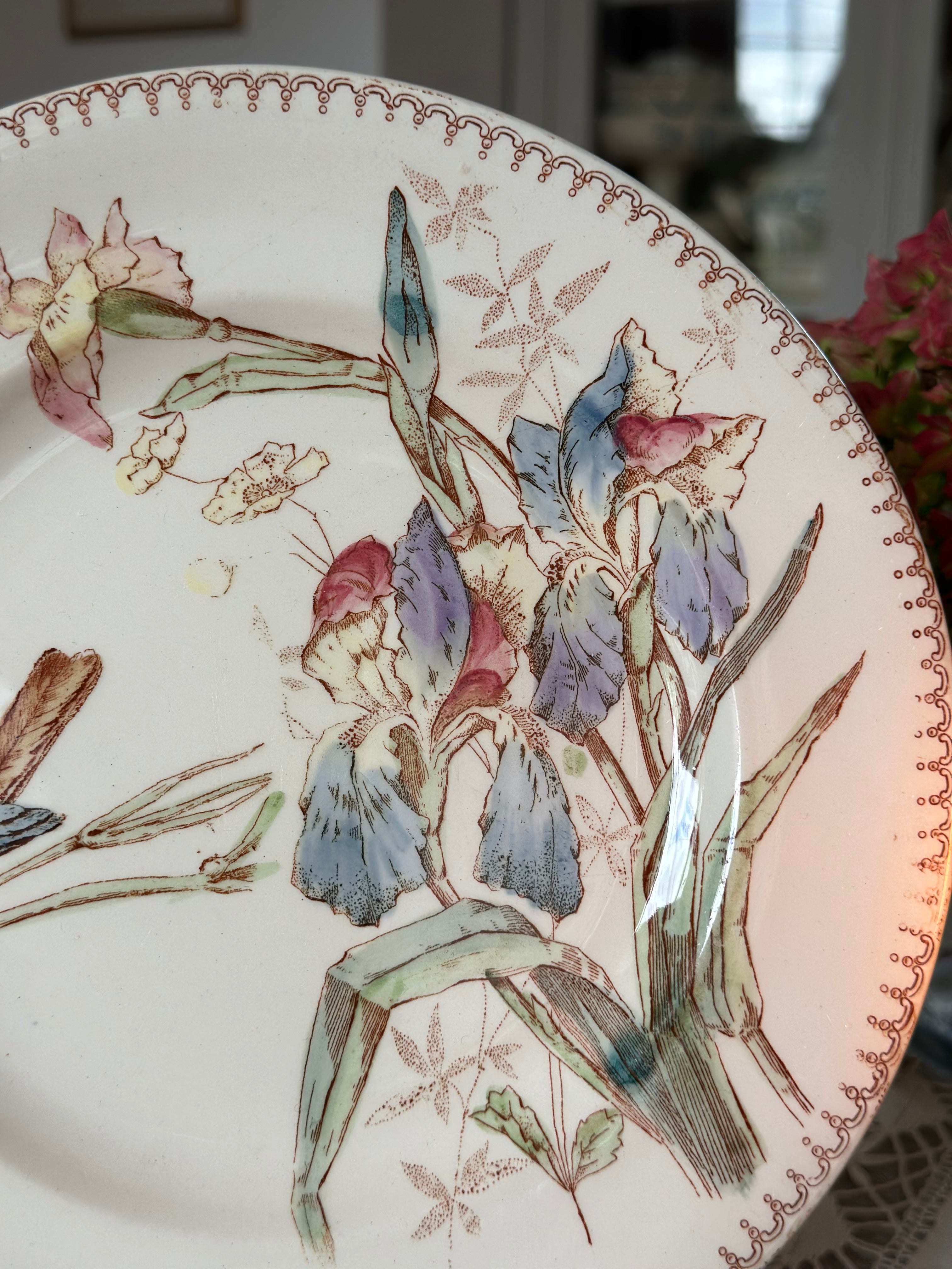 Assiette polychrome Longwy Oiseau