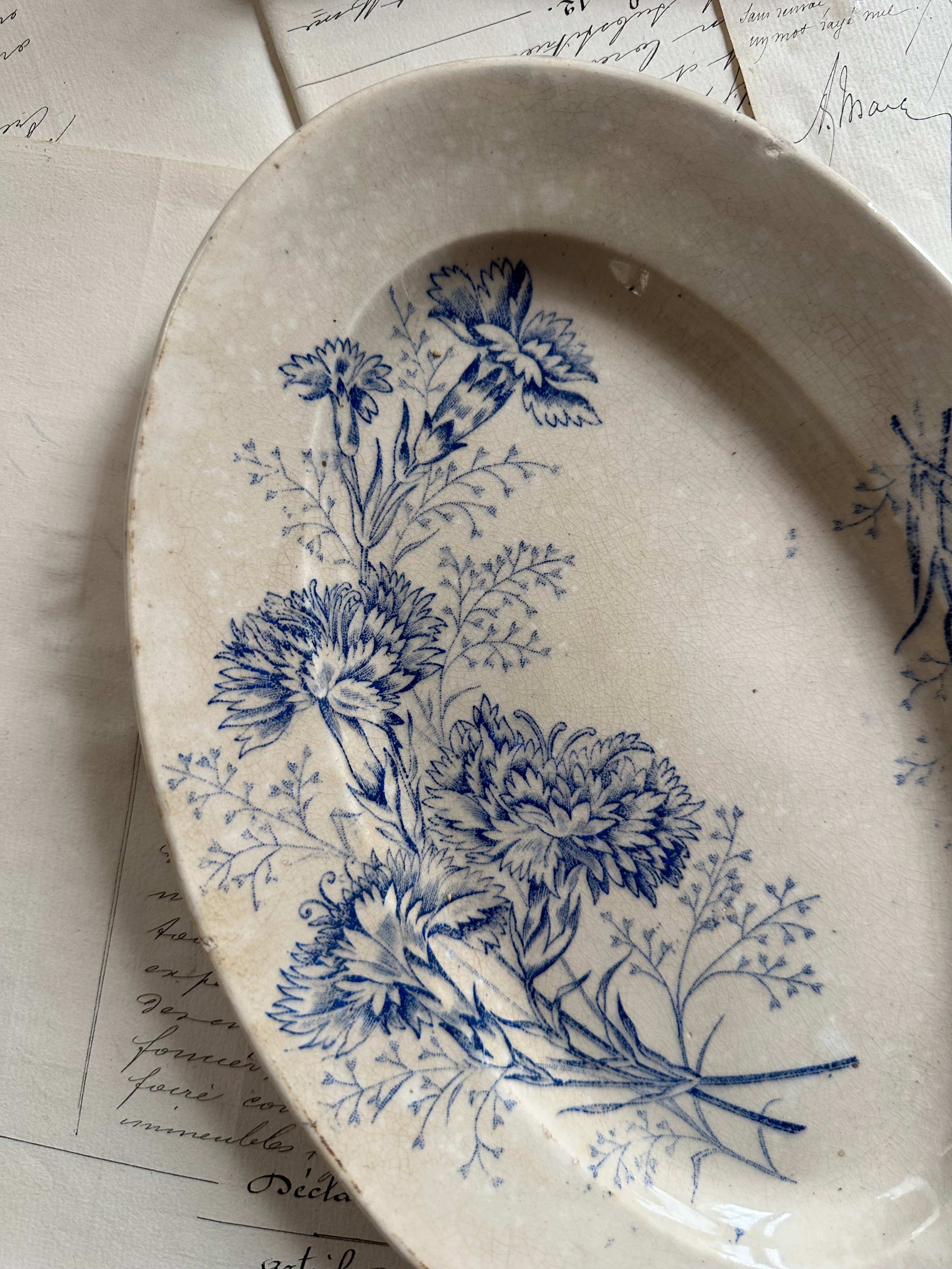 Small oval ironstone dish, Carnation pattern