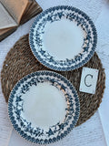 C. Duo d'assiettes plates Choisy le Roi modèle Lyonnais