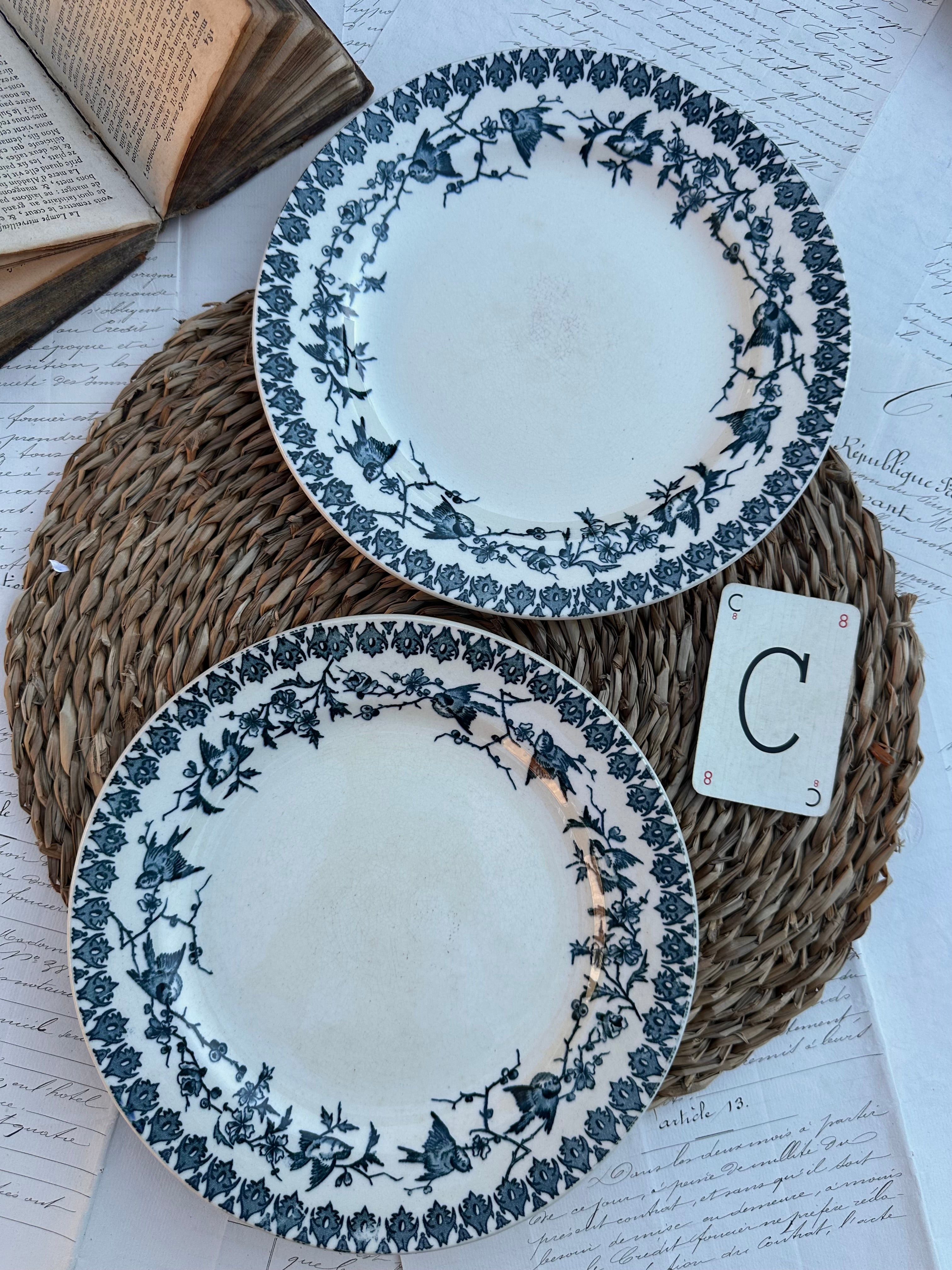 C. Duo d'assiettes plates Choisy le Roi modèle Lyonnais