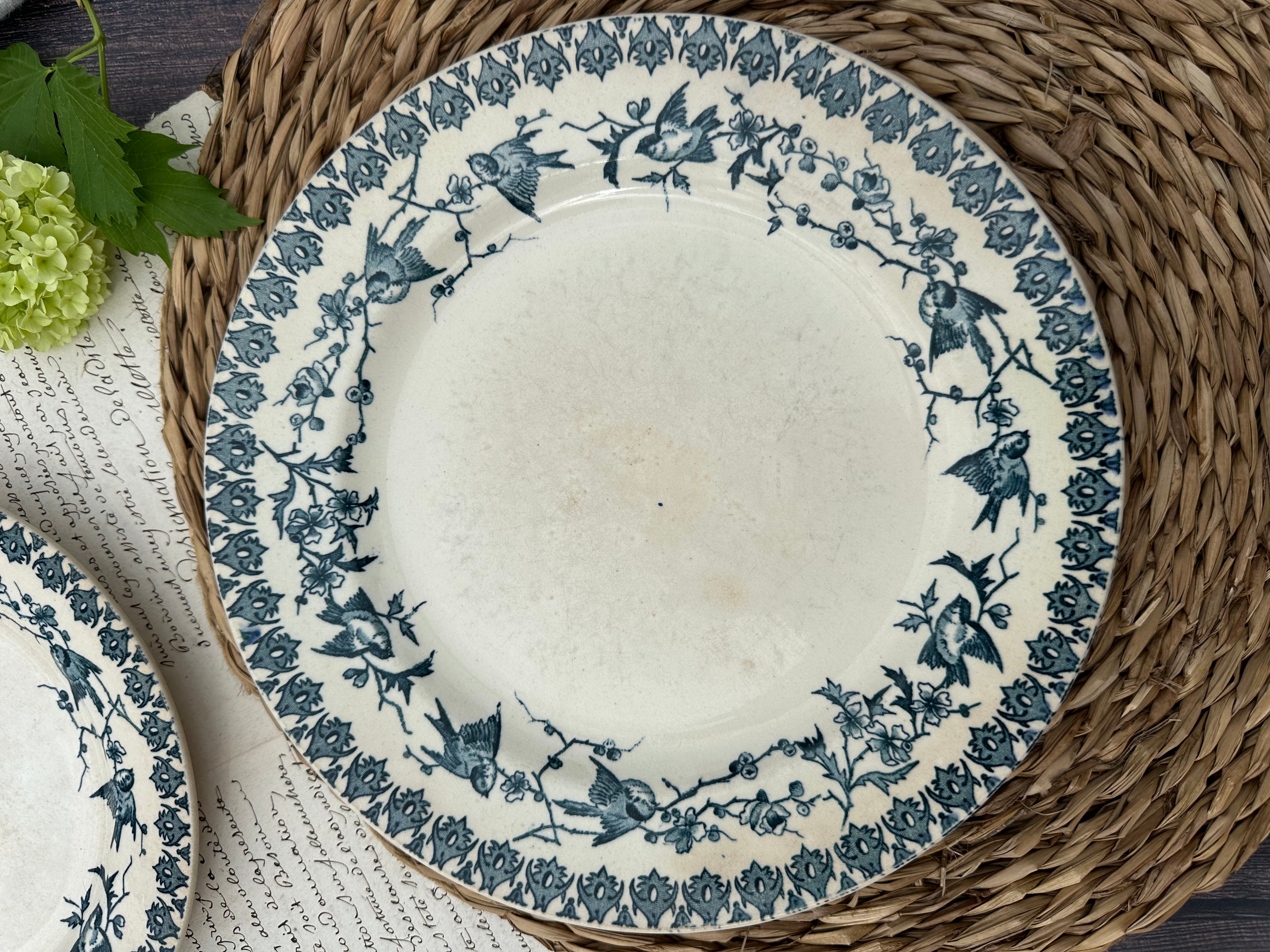 Reserved - 9 Choisy le Roi Lyonnais pattern plates (8 dinner plates and one dessert plate)