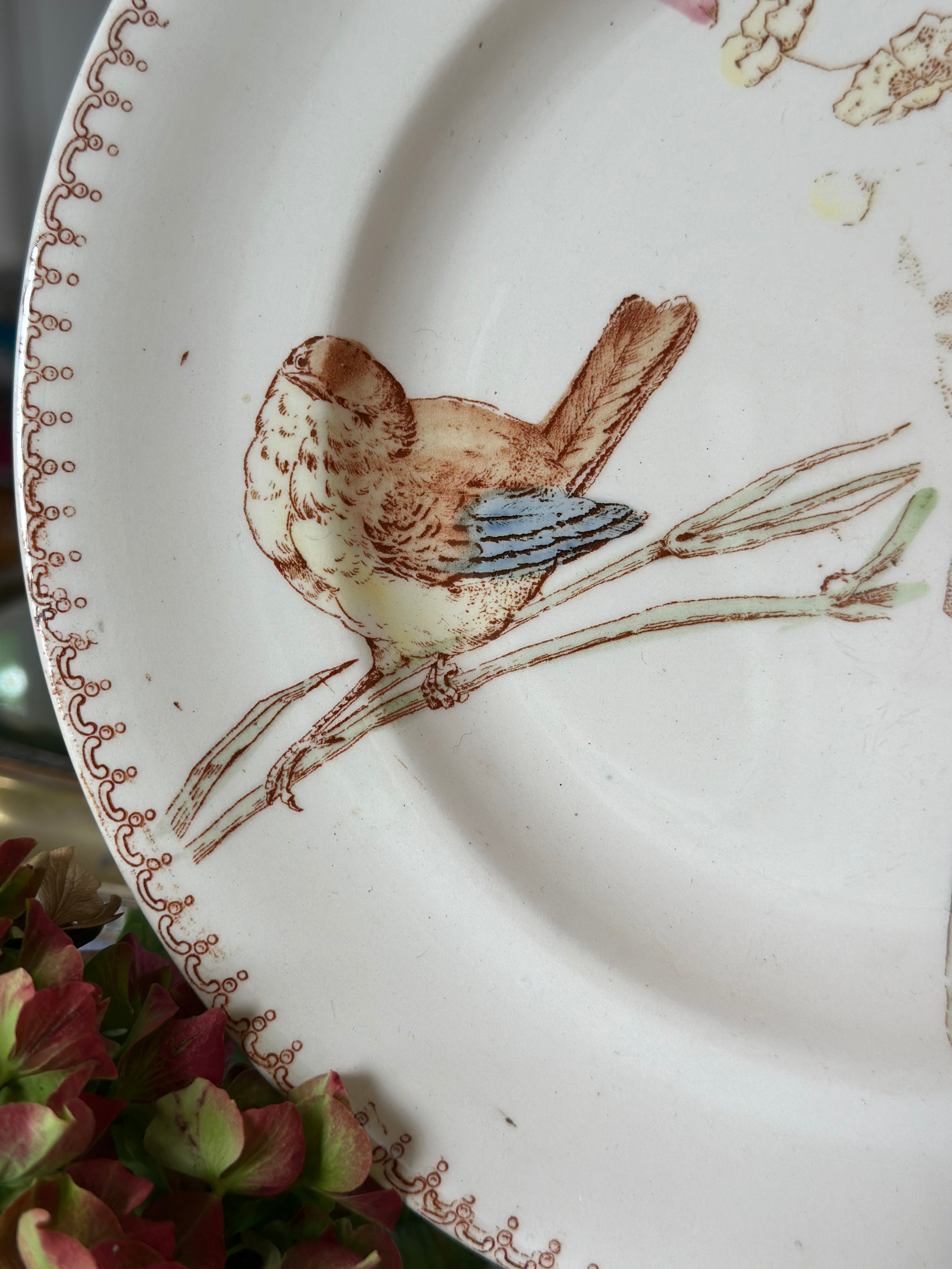 Assiette polychrome Longwy Oiseau