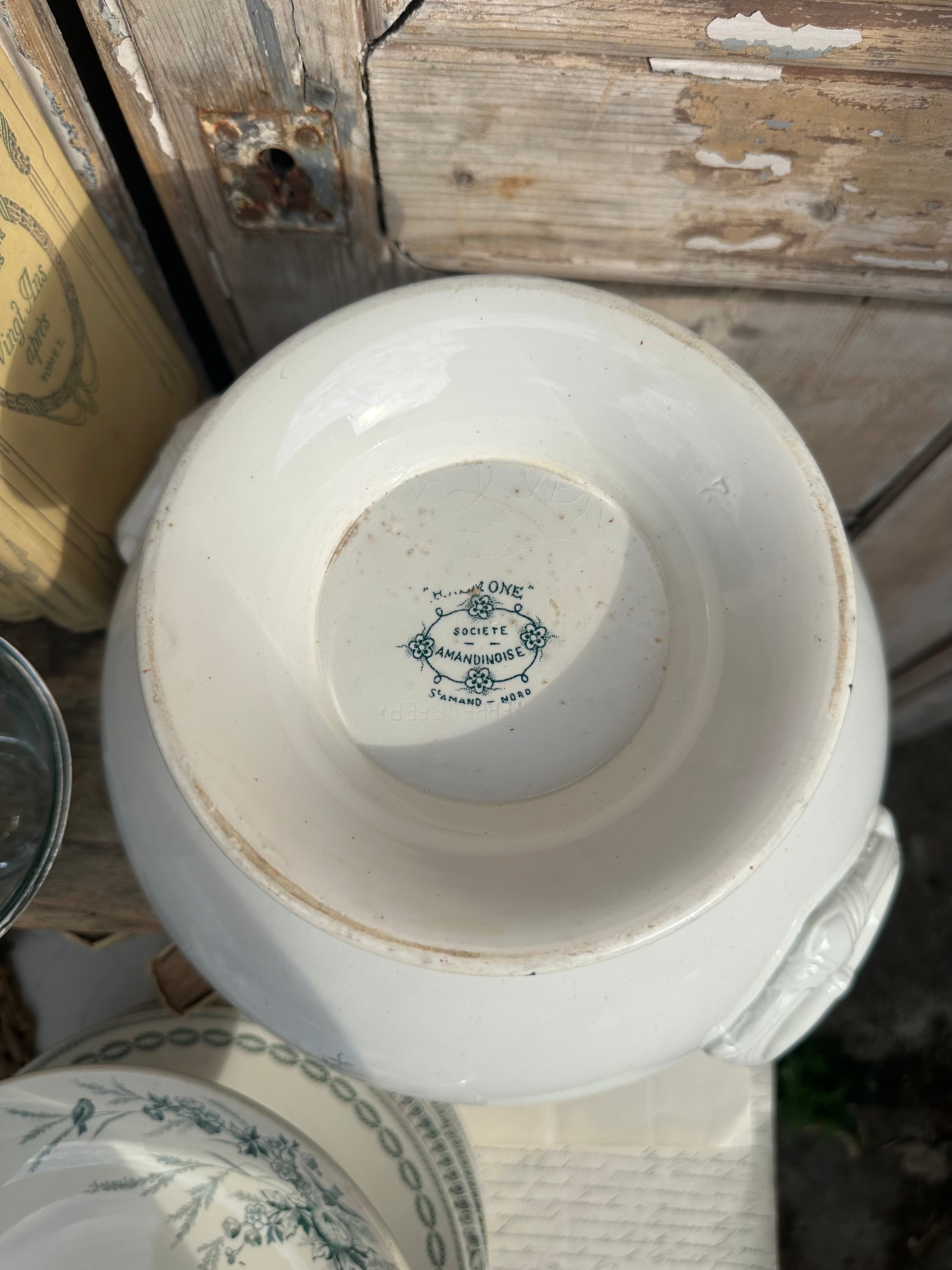 Large St. Amand Anemones Soup Tureen