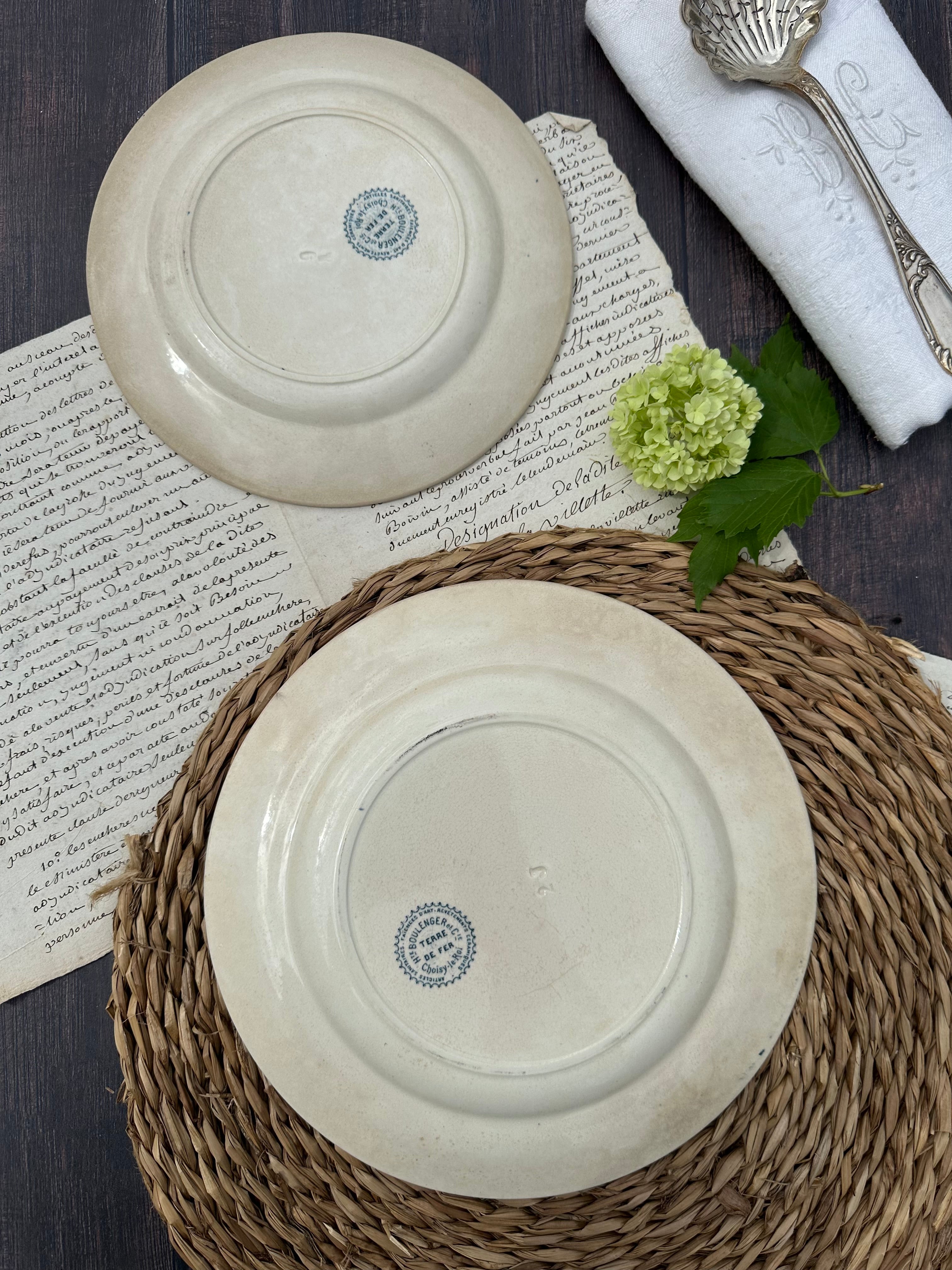 Reserved - 9 Choisy le Roi Lyonnais pattern plates (8 dinner plates and one dessert plate)