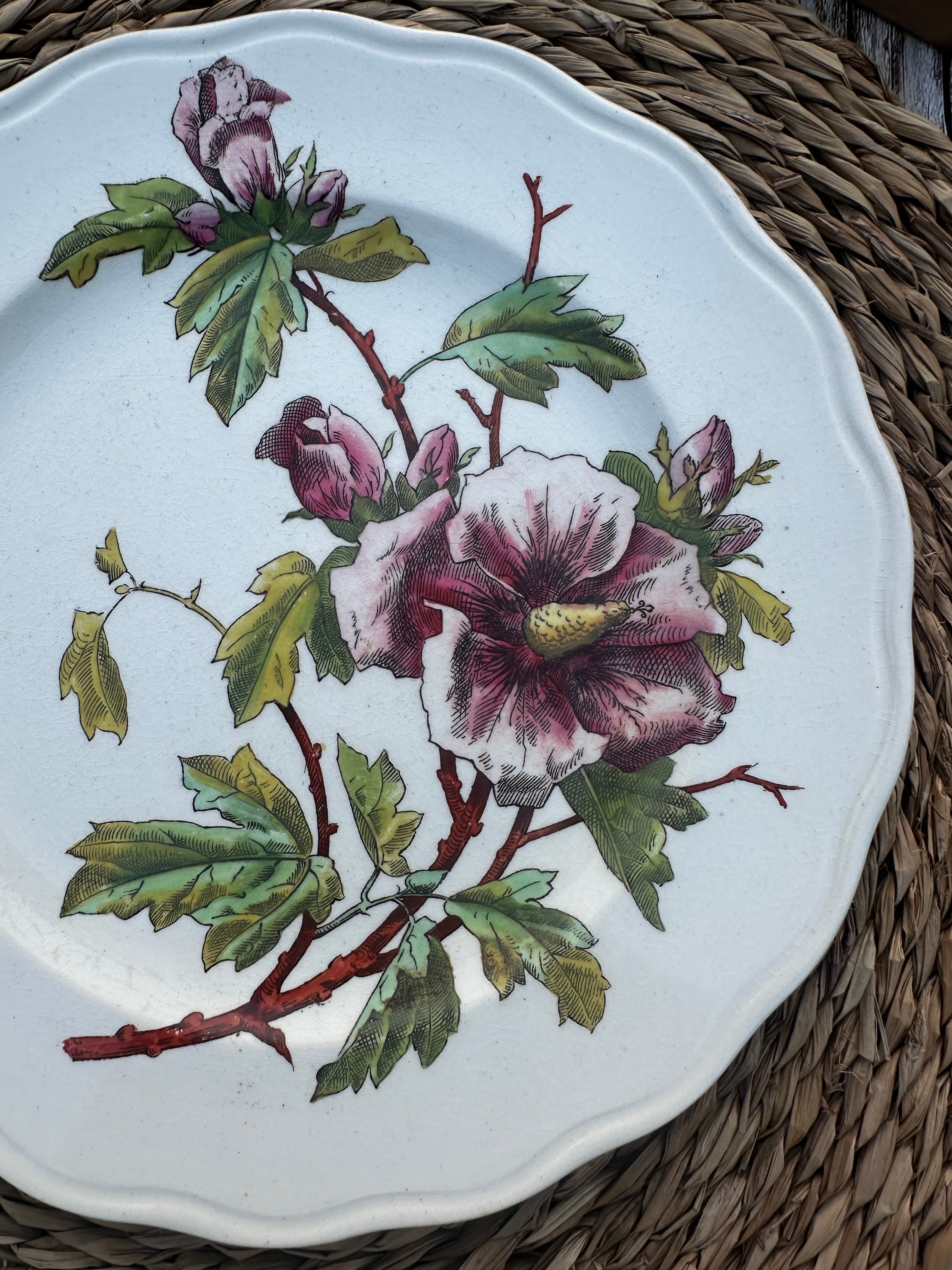 Assiette polychrome BWM & Co (Brown Westhead Moore) - Septembre 1868