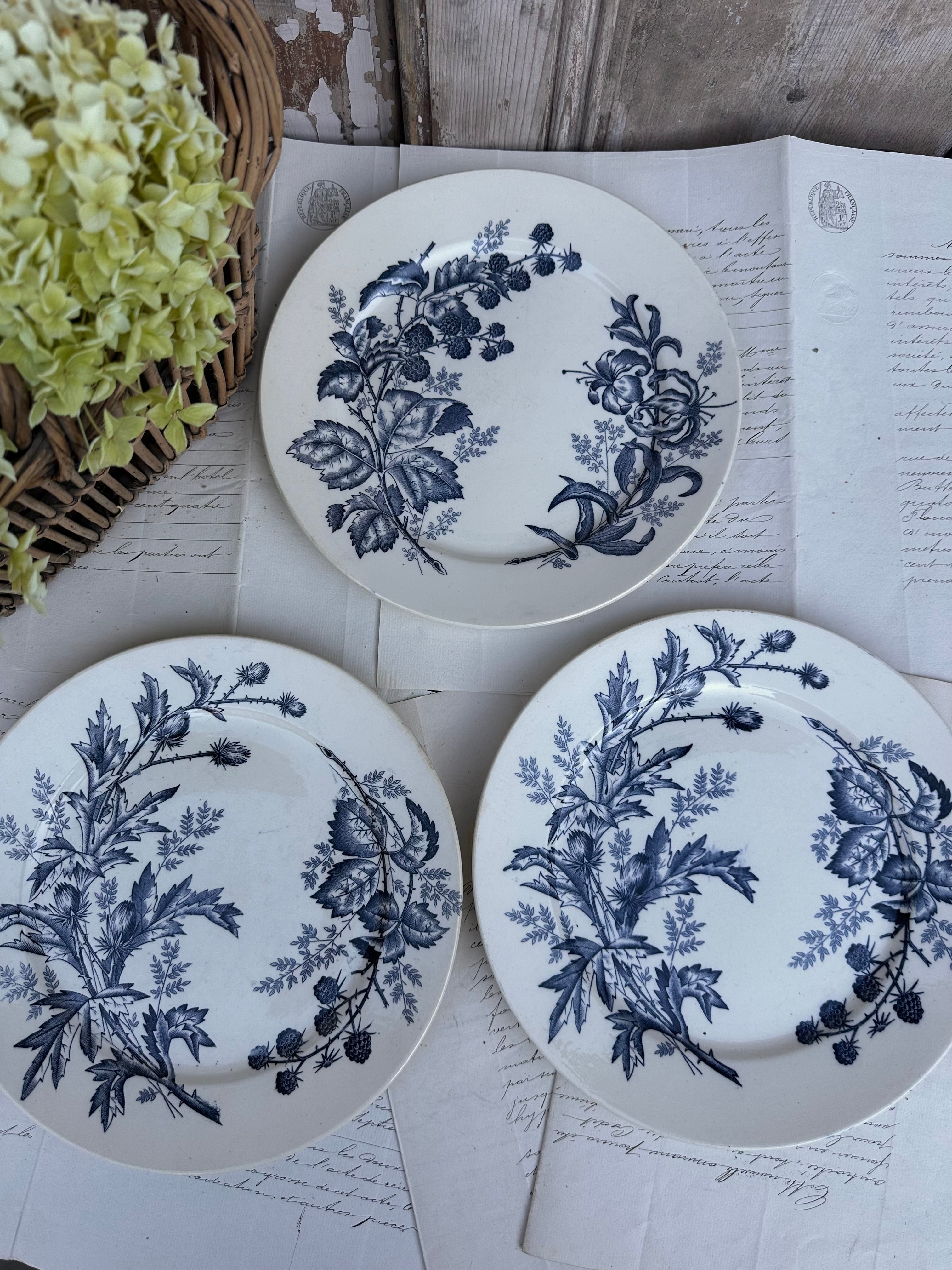 II. Trio d'assiettes BFK modèle Flora