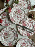 Suite de 6 assiettes plates Johnson Bros modèle Rose Chintz