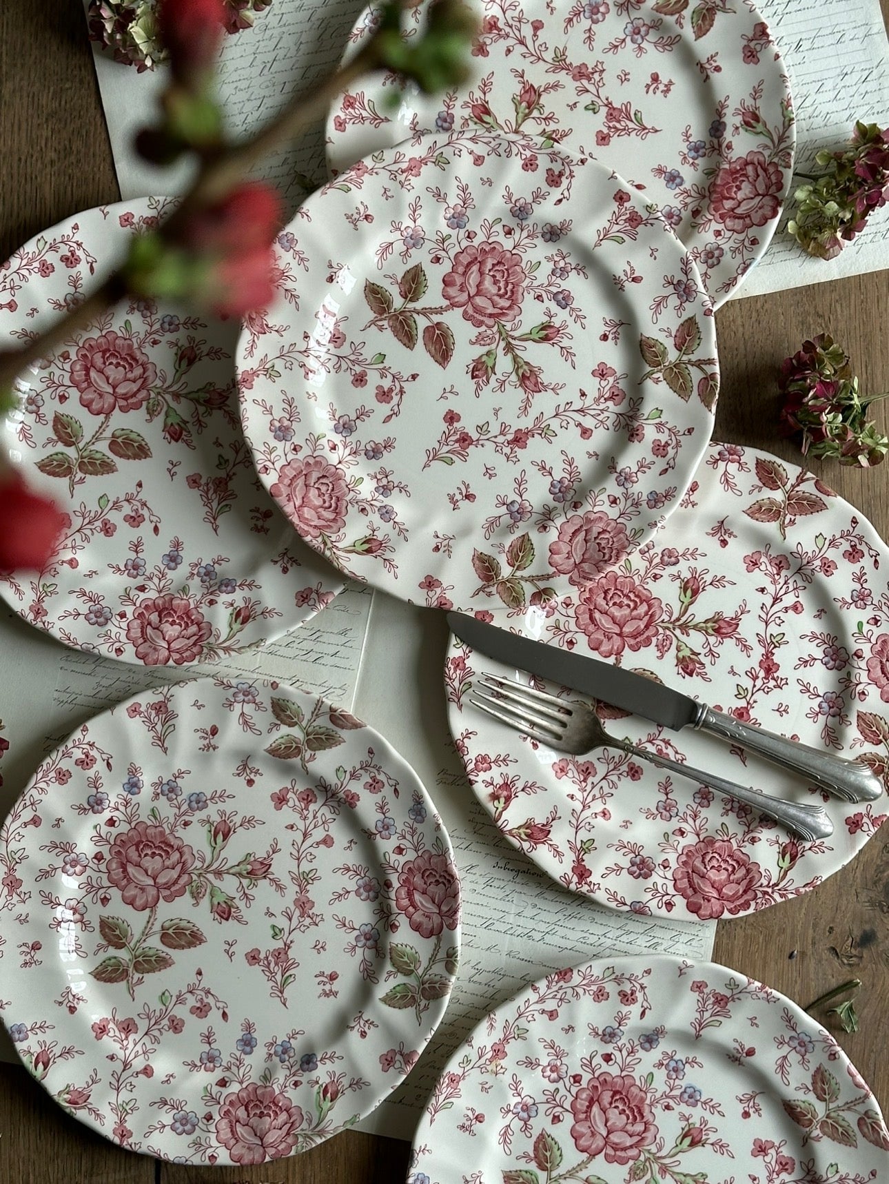 Suite de 6 assiettes plates Johnson Bros modèle Rose Chintz