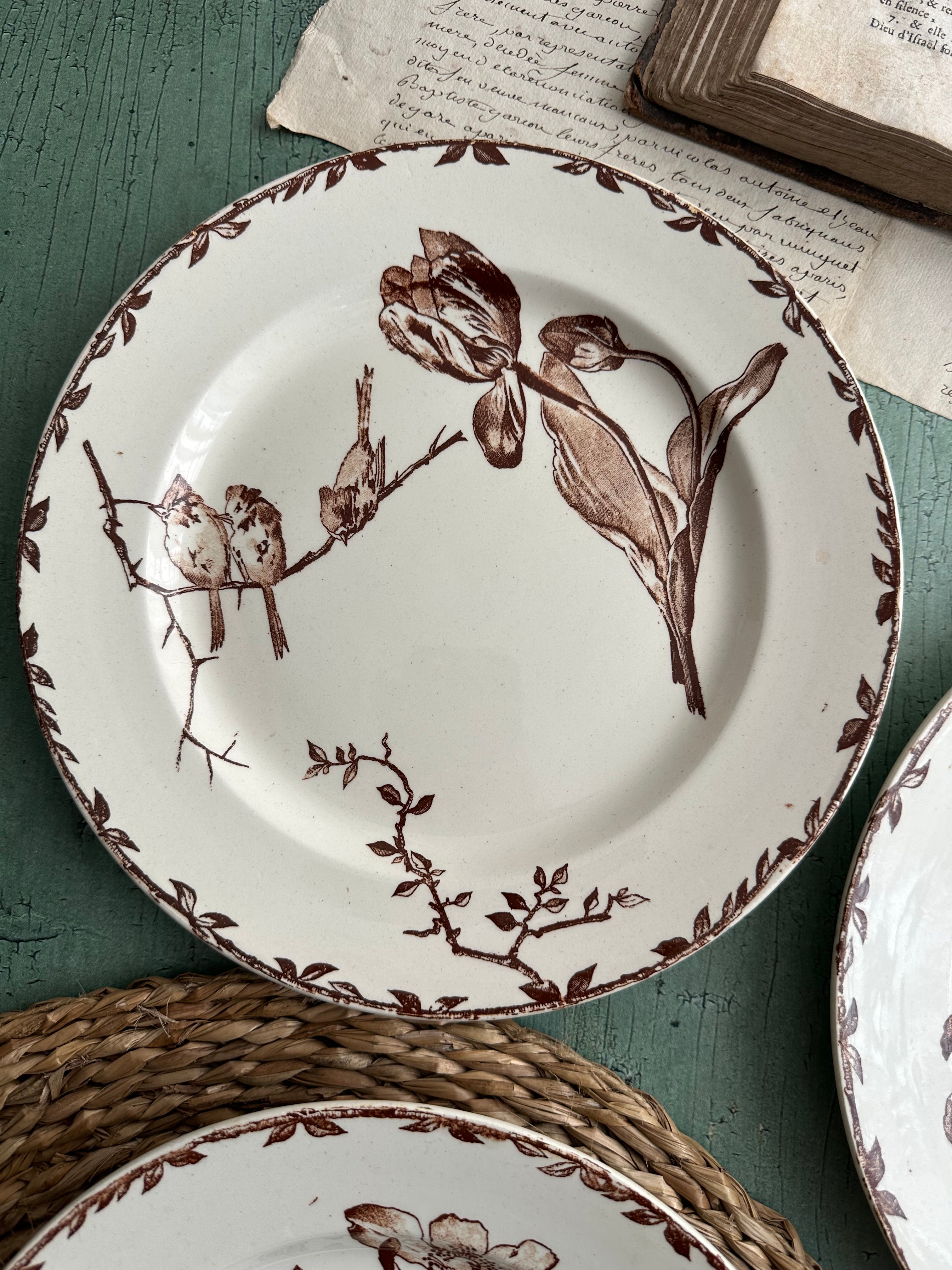 Set of 3 Choisy le Roi Oxford dinner plates