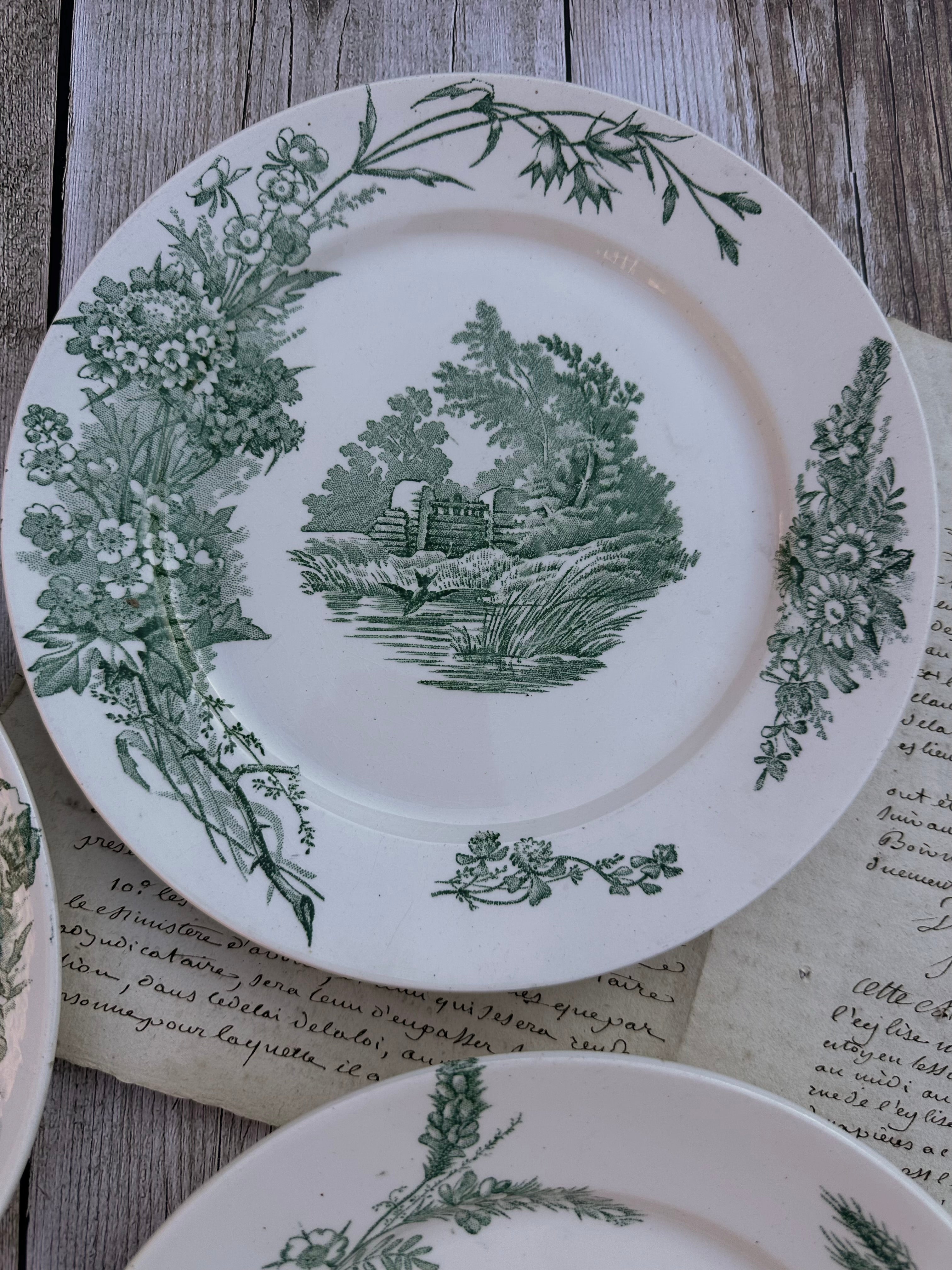 Suite de 5 assiettes plates Pexonne modèle Champêtre