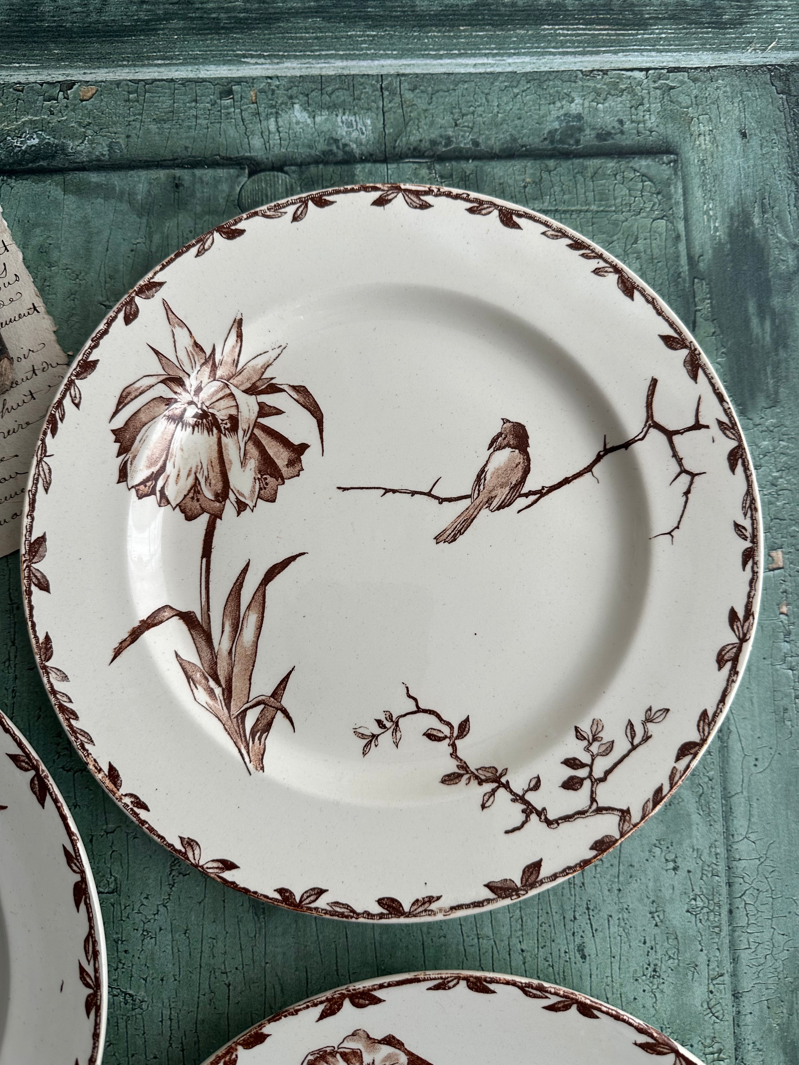 Set of 4 Choisy le Roi flat plates, Oxford model