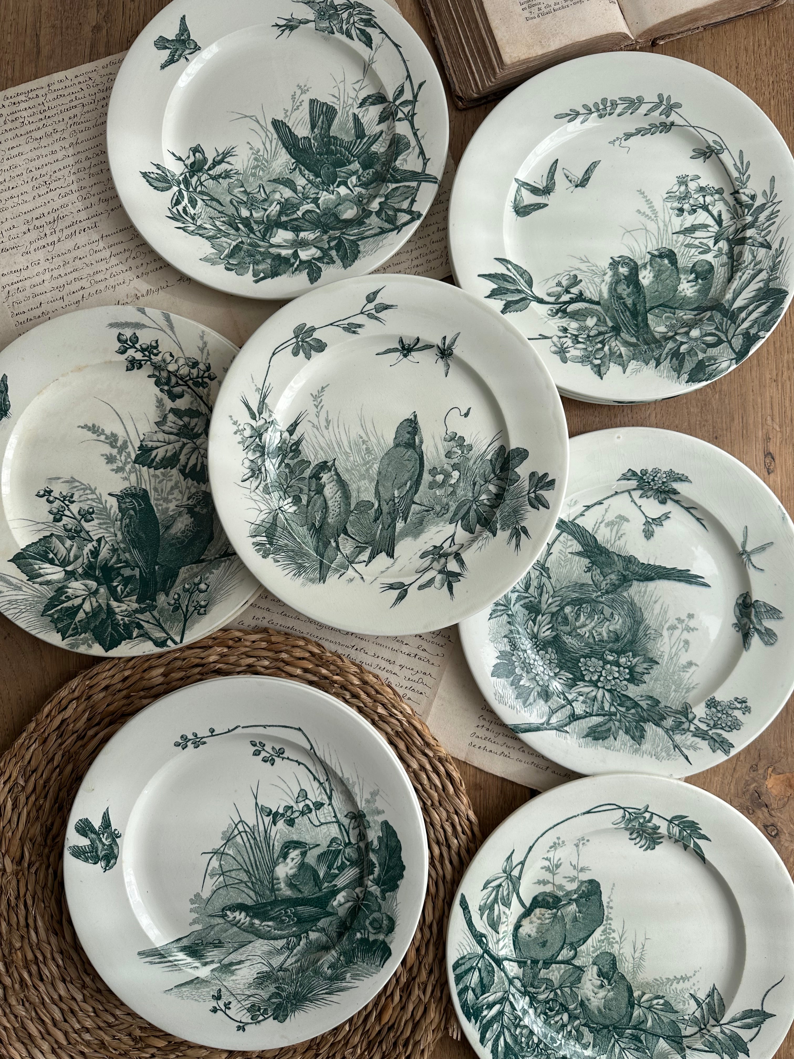 Assiette plate Jules Vieillard Bordeaux modèle Oiseaux