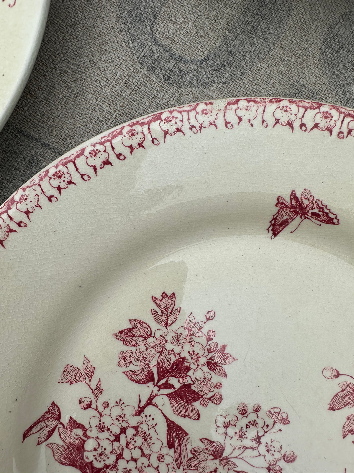 Set of 3 assorted dinner plates