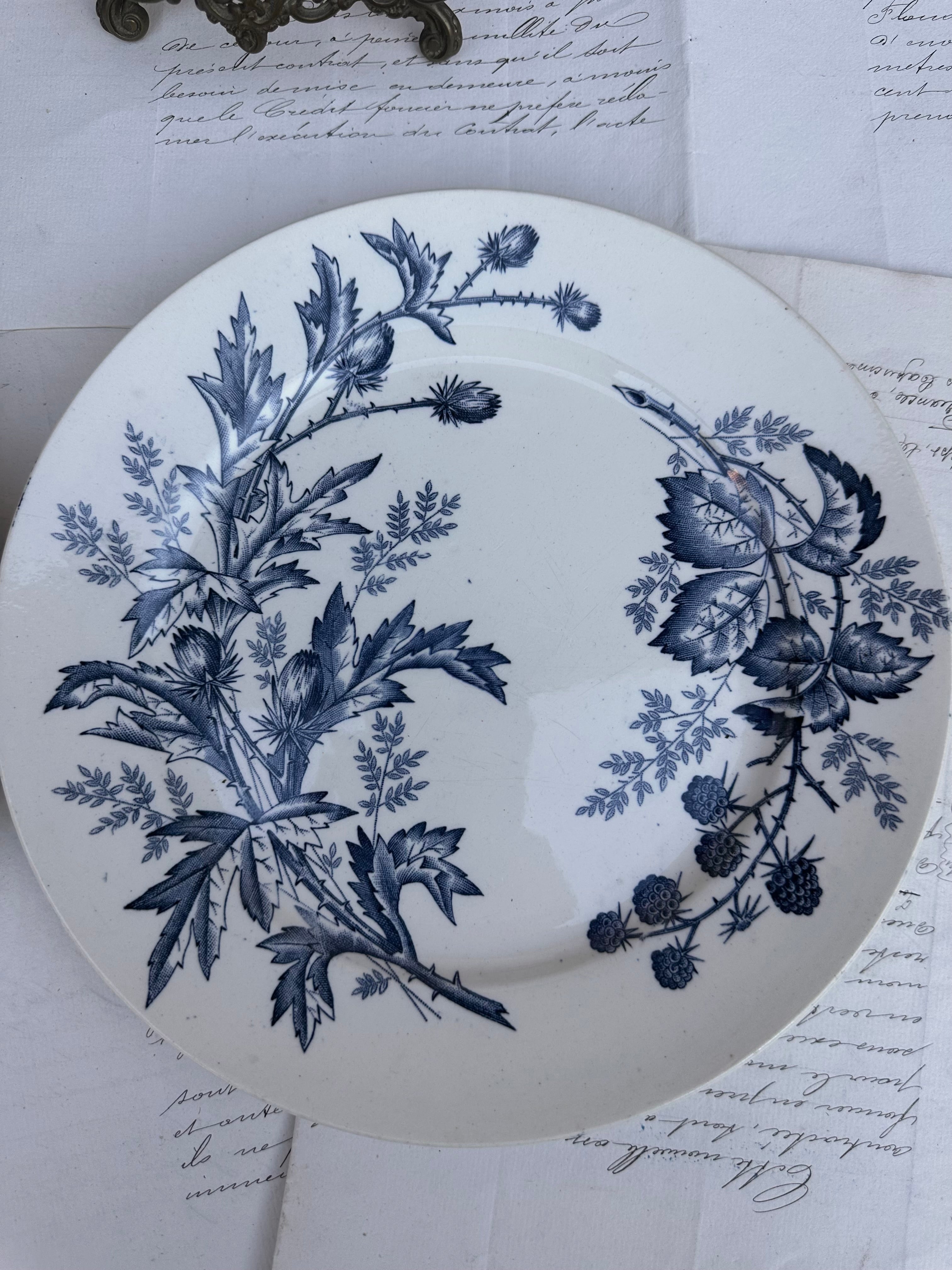 Duo d'assiettes BFK modèle Flora
