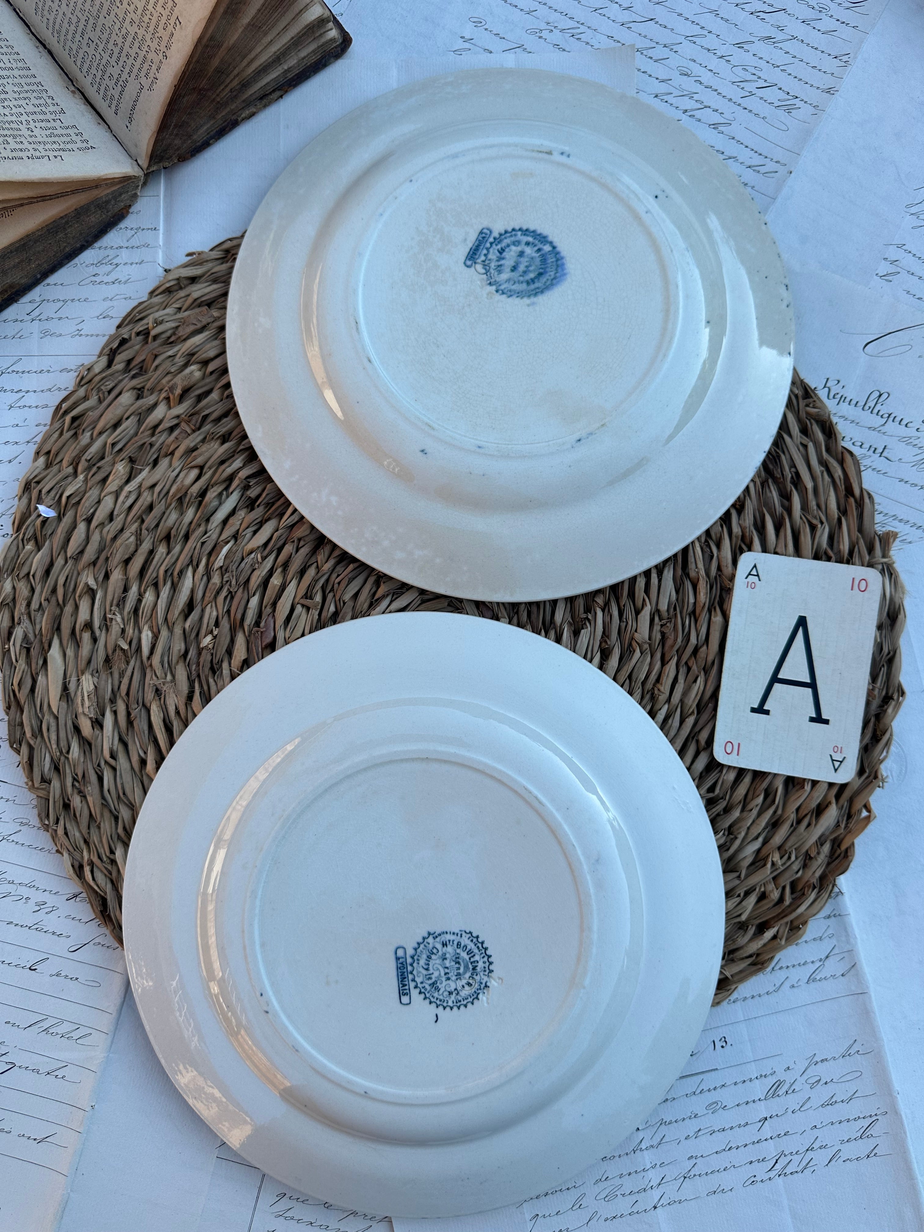 A. Duo d'assiettes plates Choisy le Roi modèle Lyonnais