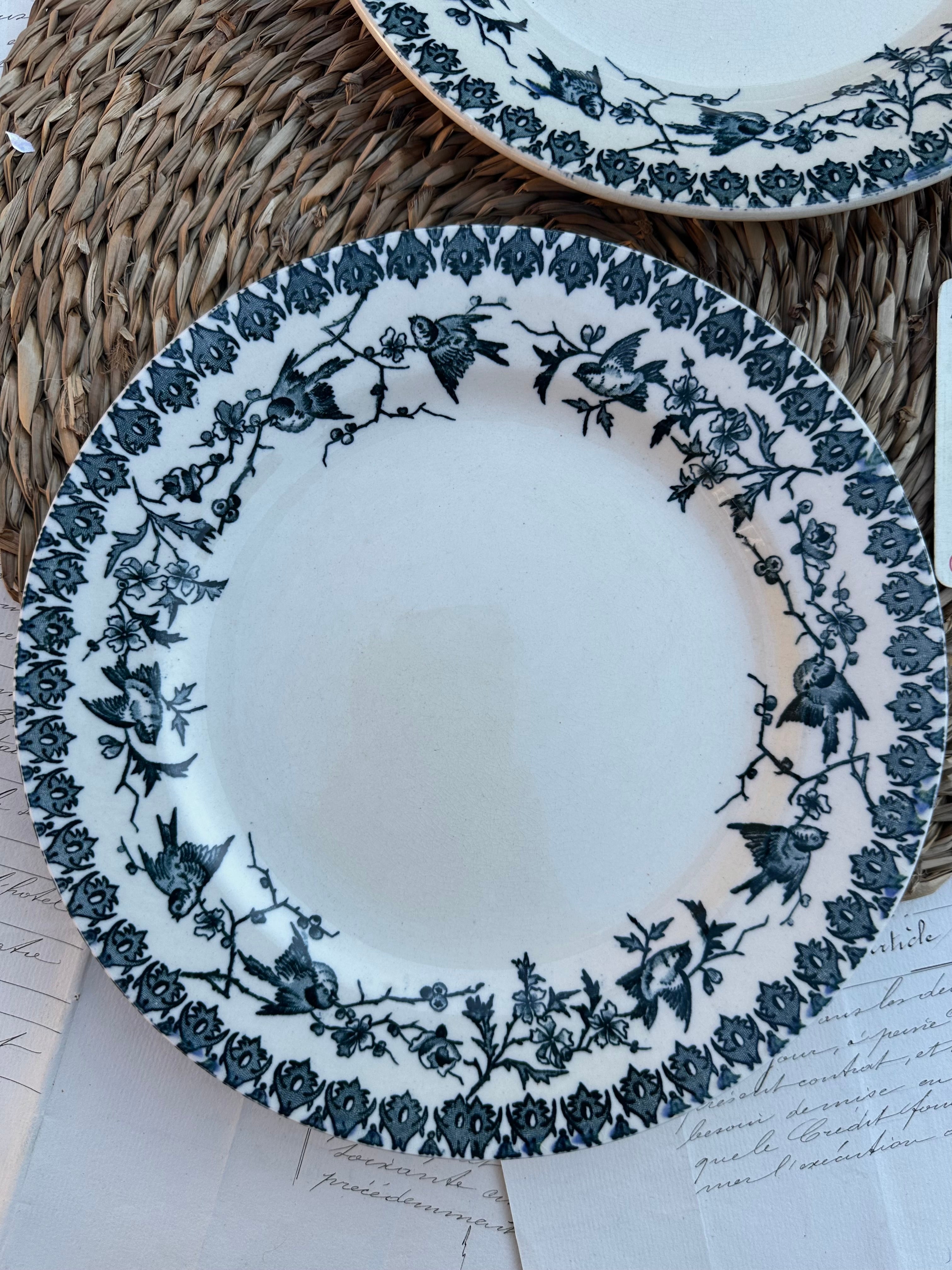 A. Duo d'assiettes plates Choisy le Roi modèle Lyonnais