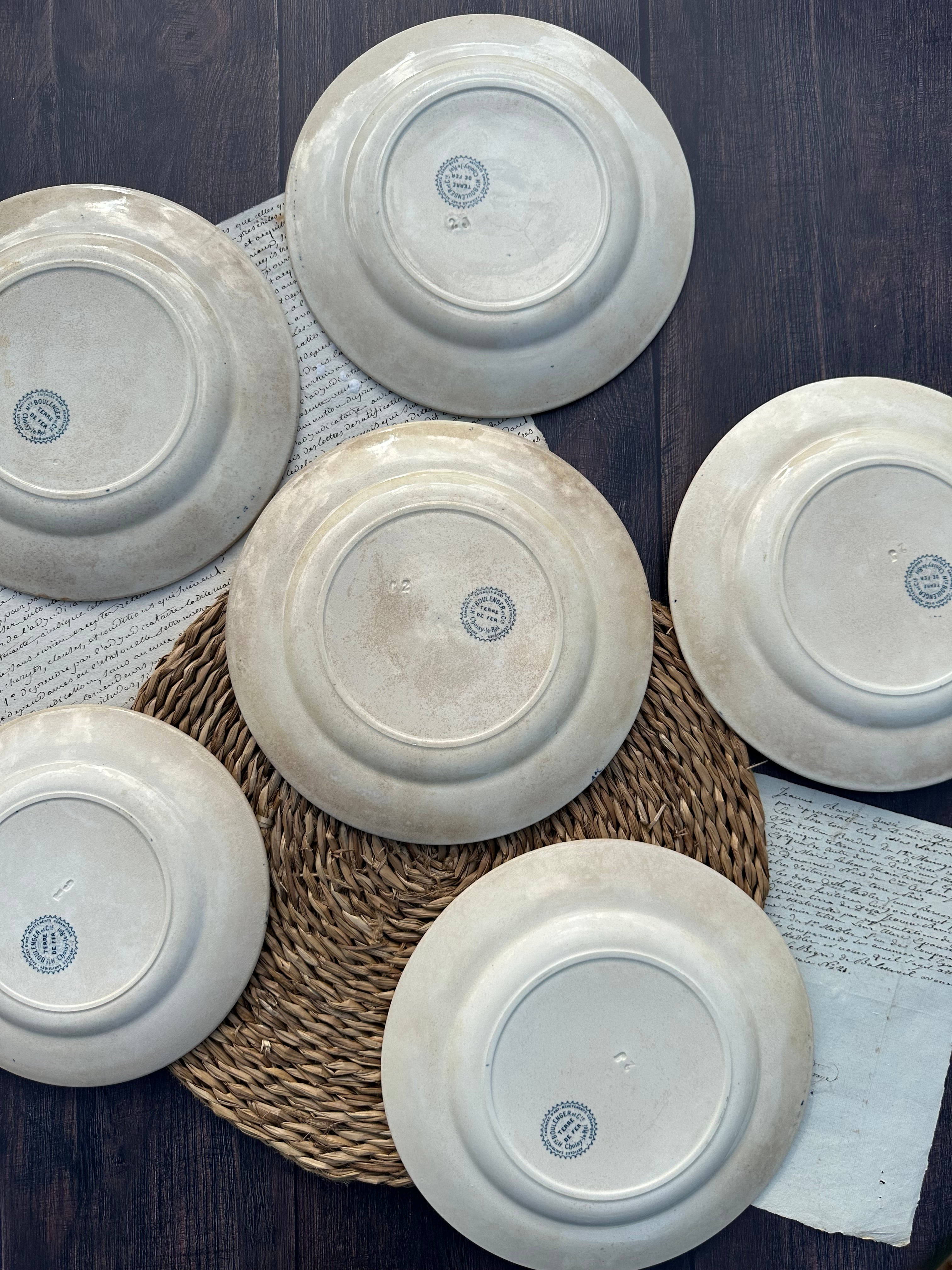 Reserved - 9 Choisy le Roi Lyonnais pattern plates (8 dinner plates and one dessert plate)