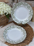 Paire d'assiettes plates St. Amand modèle Mimosa