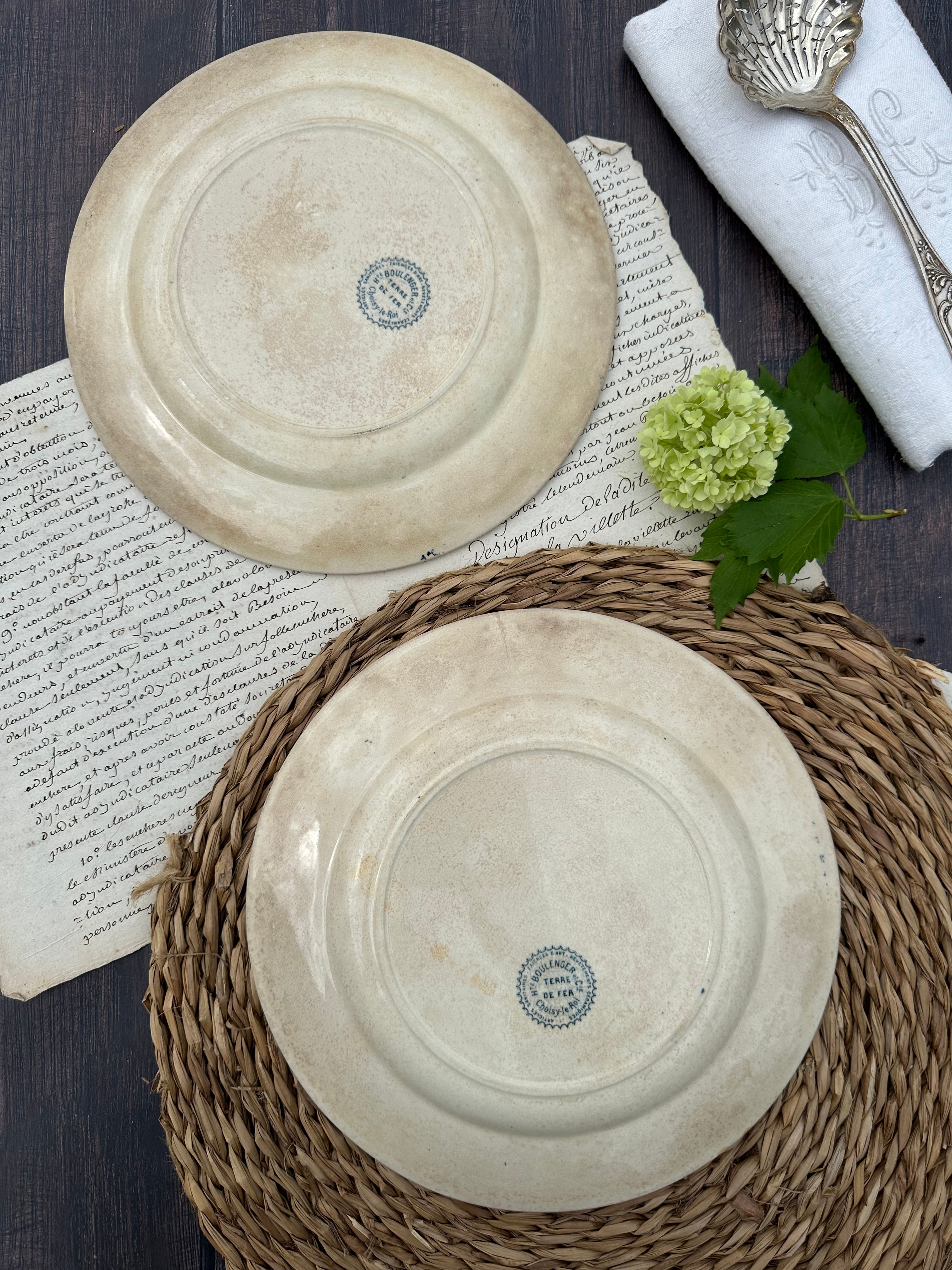 Reserved - 9 Choisy le Roi Lyonnais pattern plates (8 dinner plates and one dessert plate)