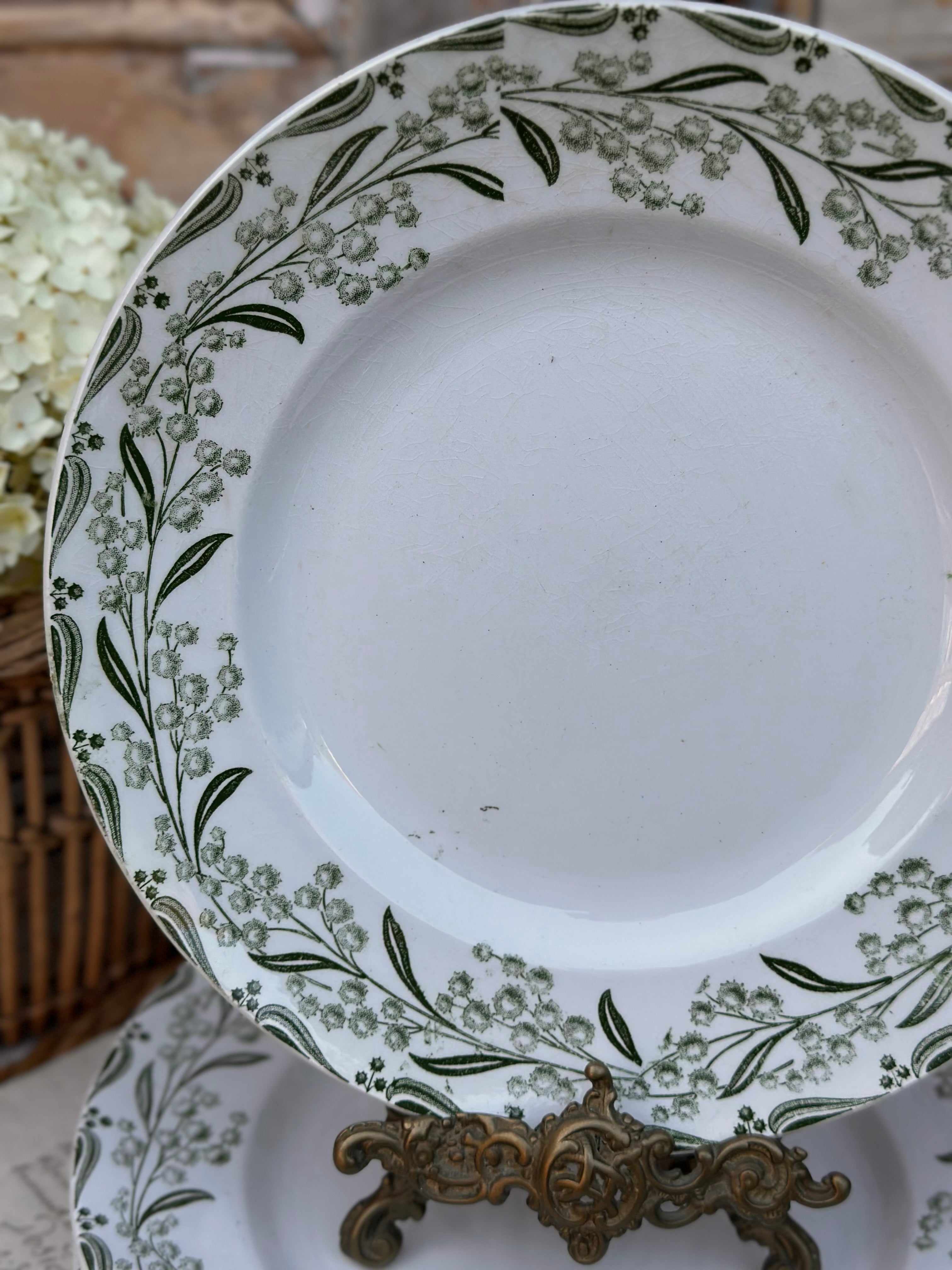 II. Série de 6 assiettes plates St. Amand modèle Mimosa