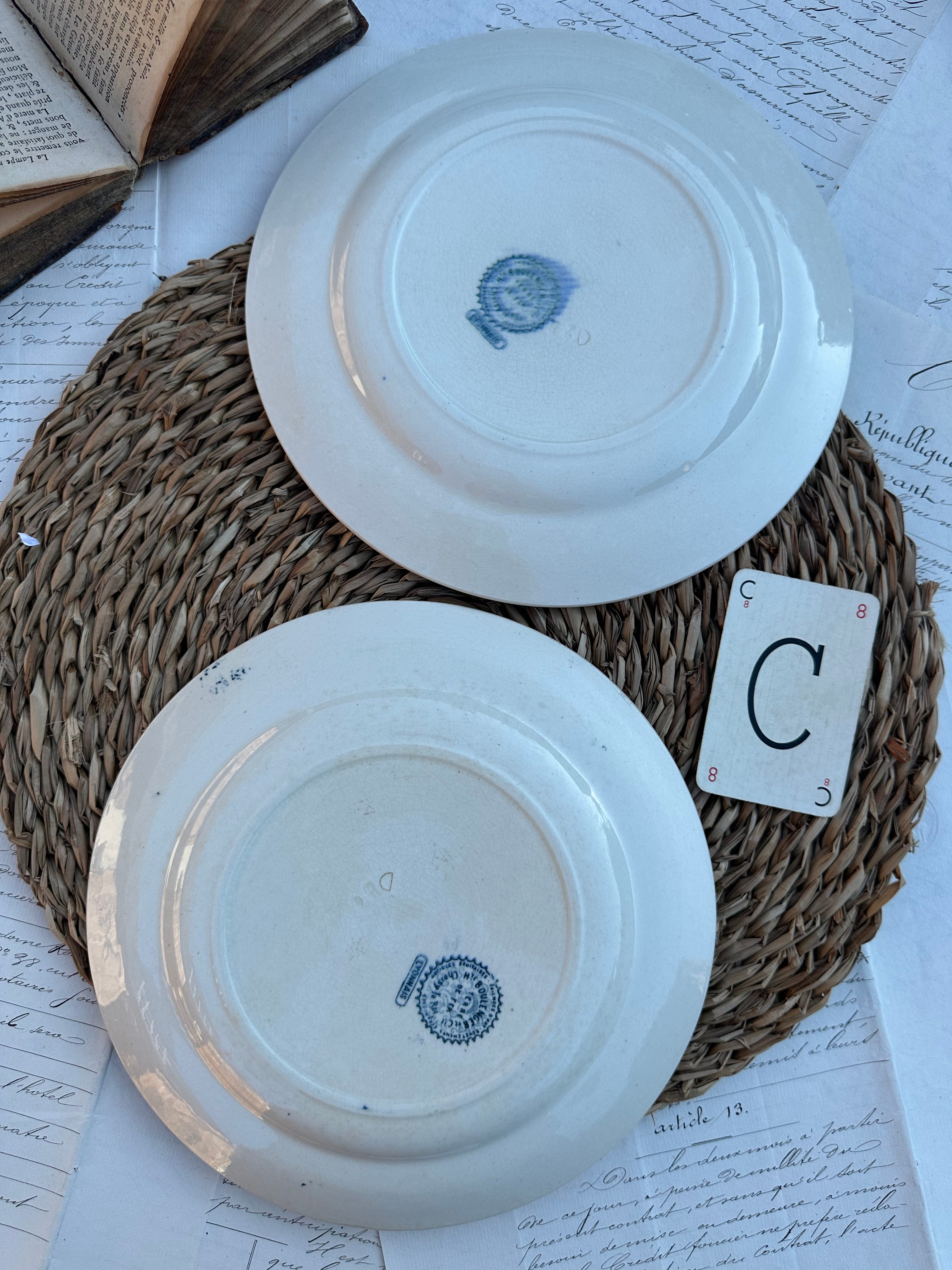 C. Duo d'assiettes plates Choisy le Roi modèle Lyonnais