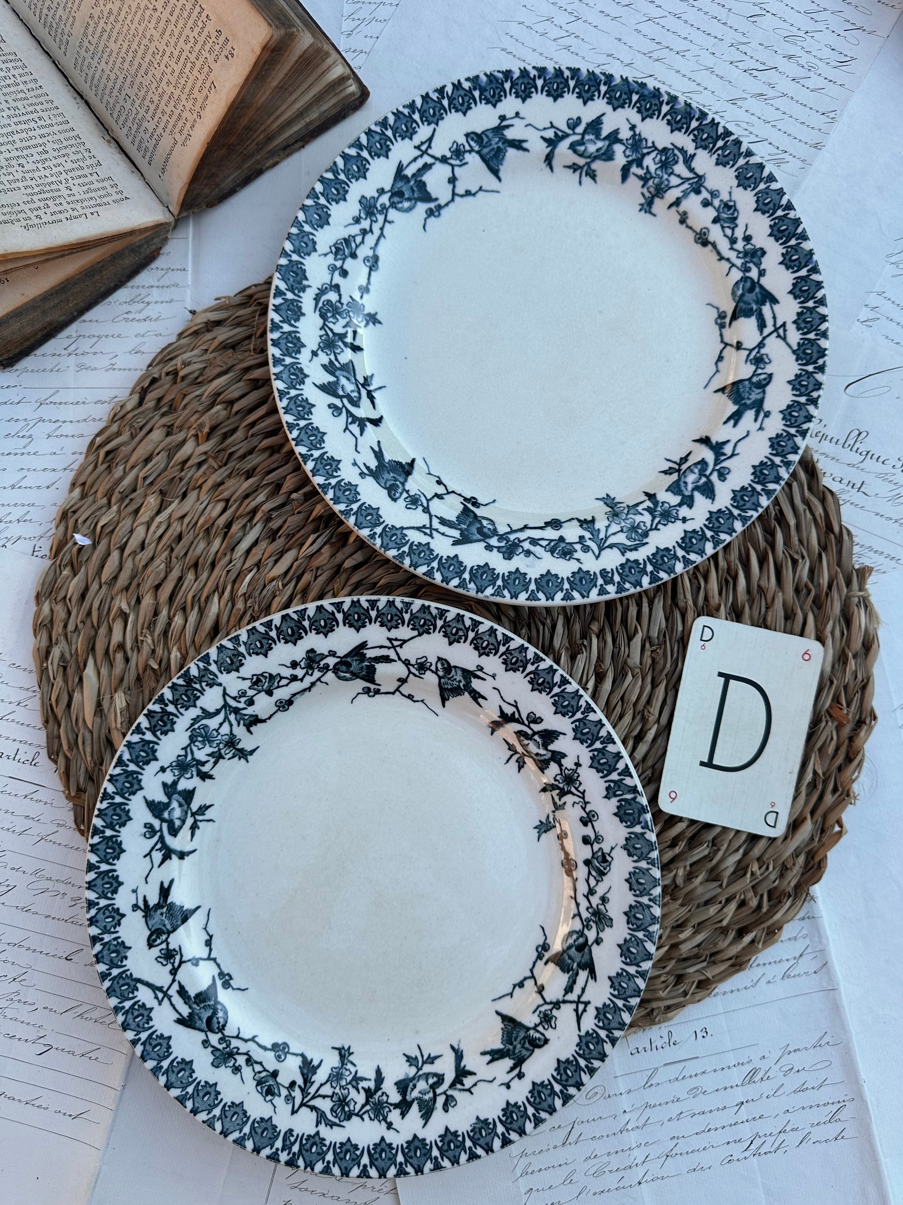D. Duo d'assiettes plates Choisy le Roi modèle Lyonnais