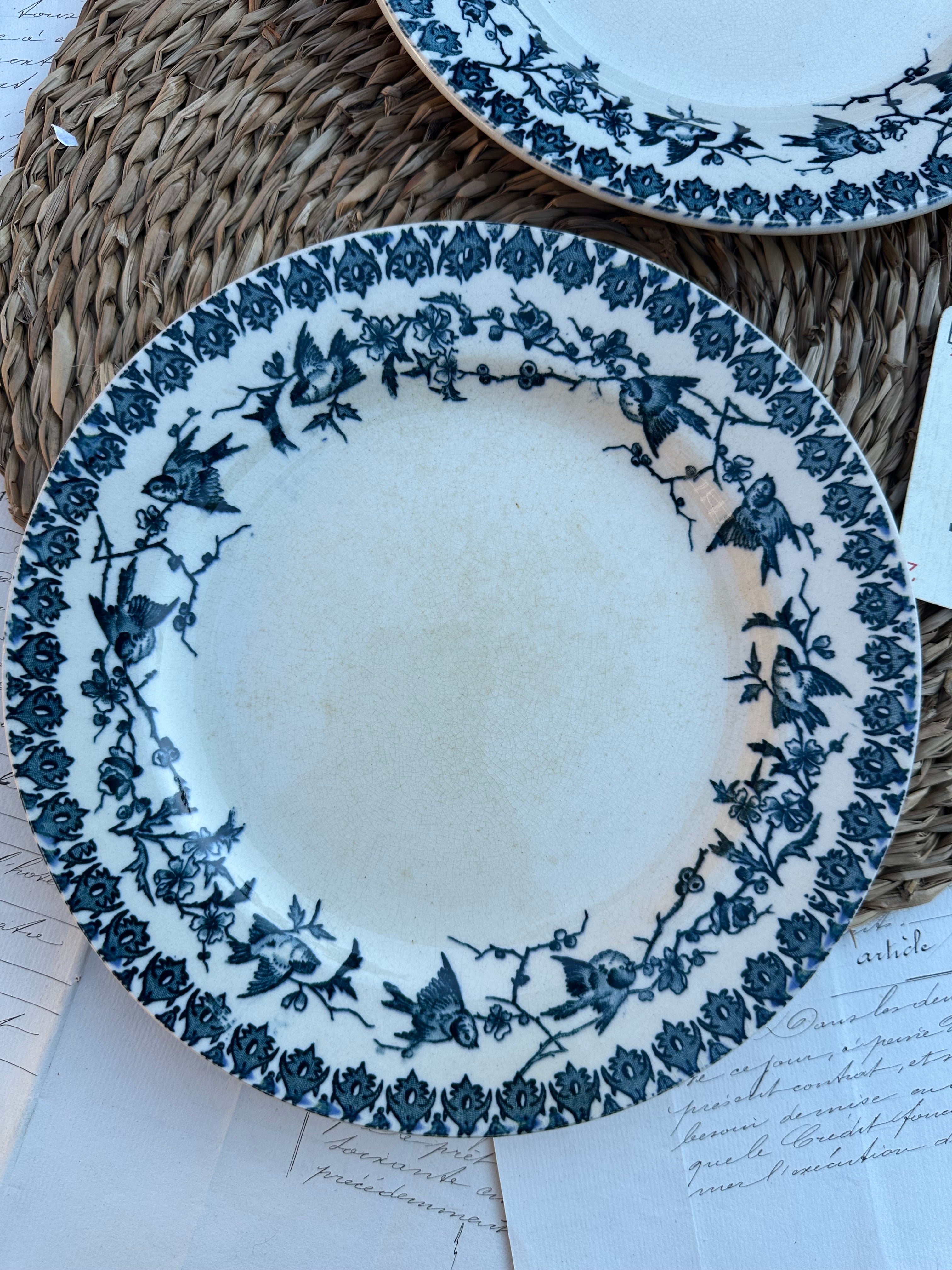 B. Duo d'assiettes plates Choisy le Roi modèle Lyonnais