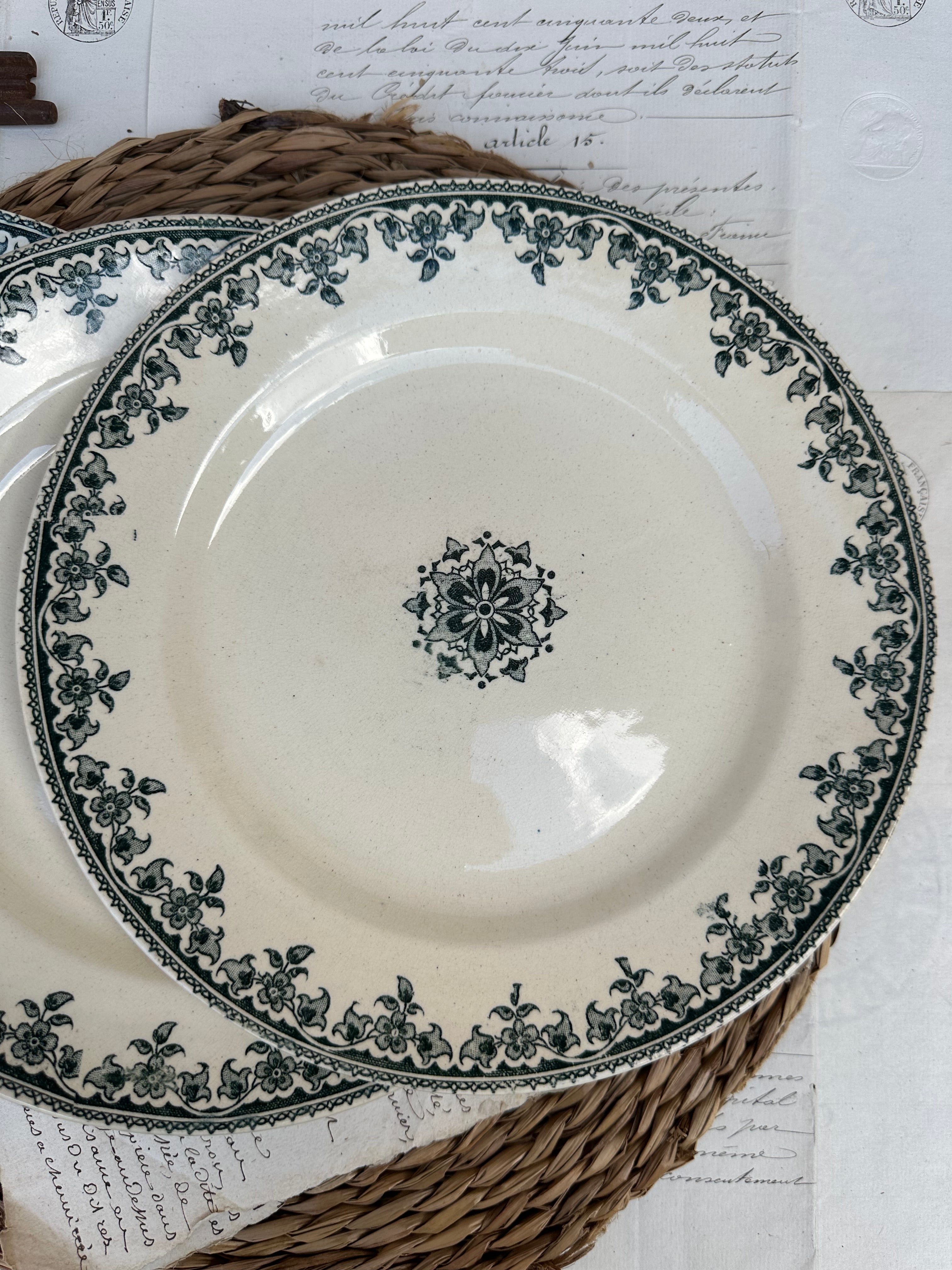 Suite de 5 assiettes plates Choisy le Roi modèle Gagny