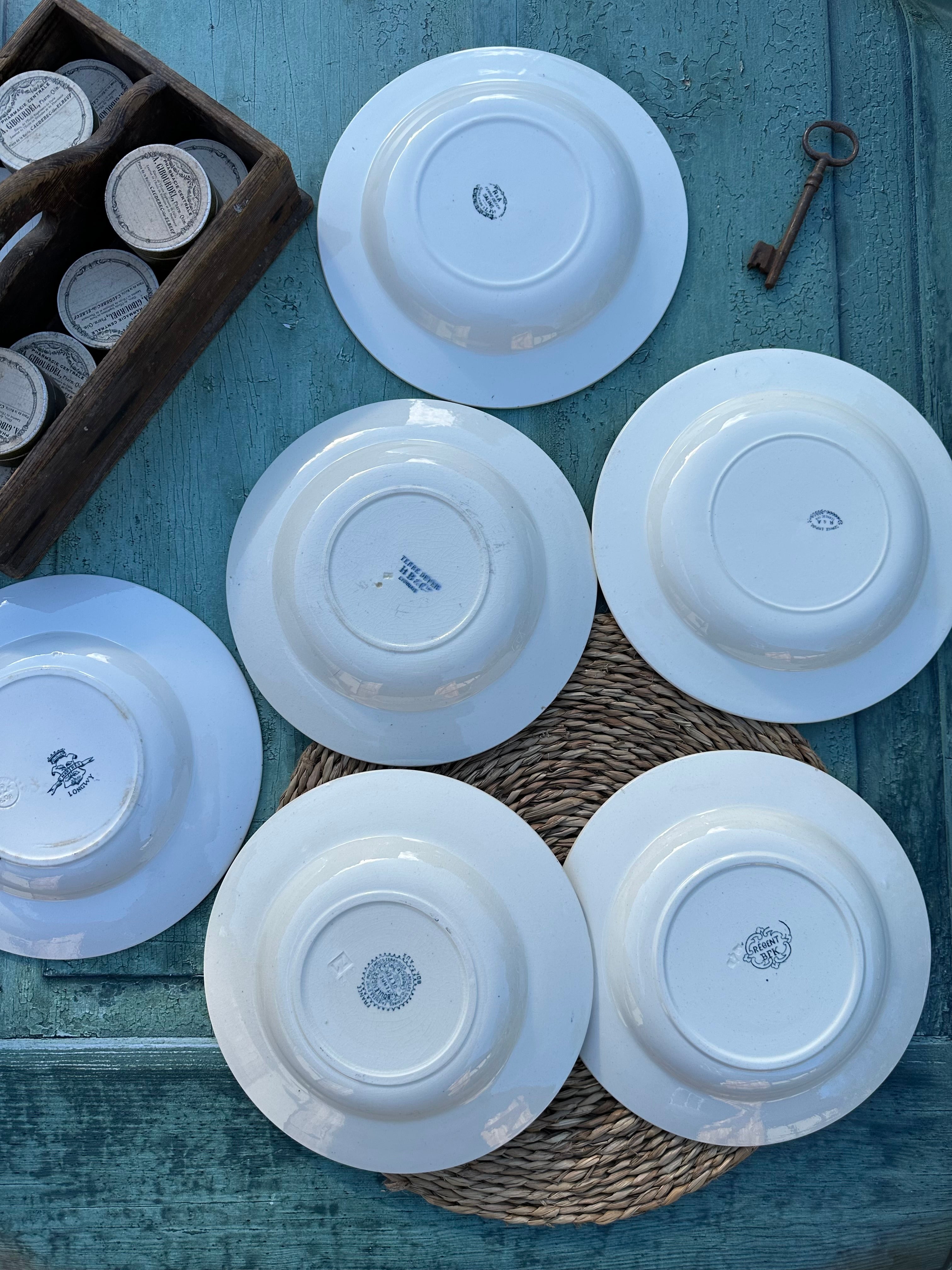 III. Suite de 6 assiettes creuses terre de fer dépareillées