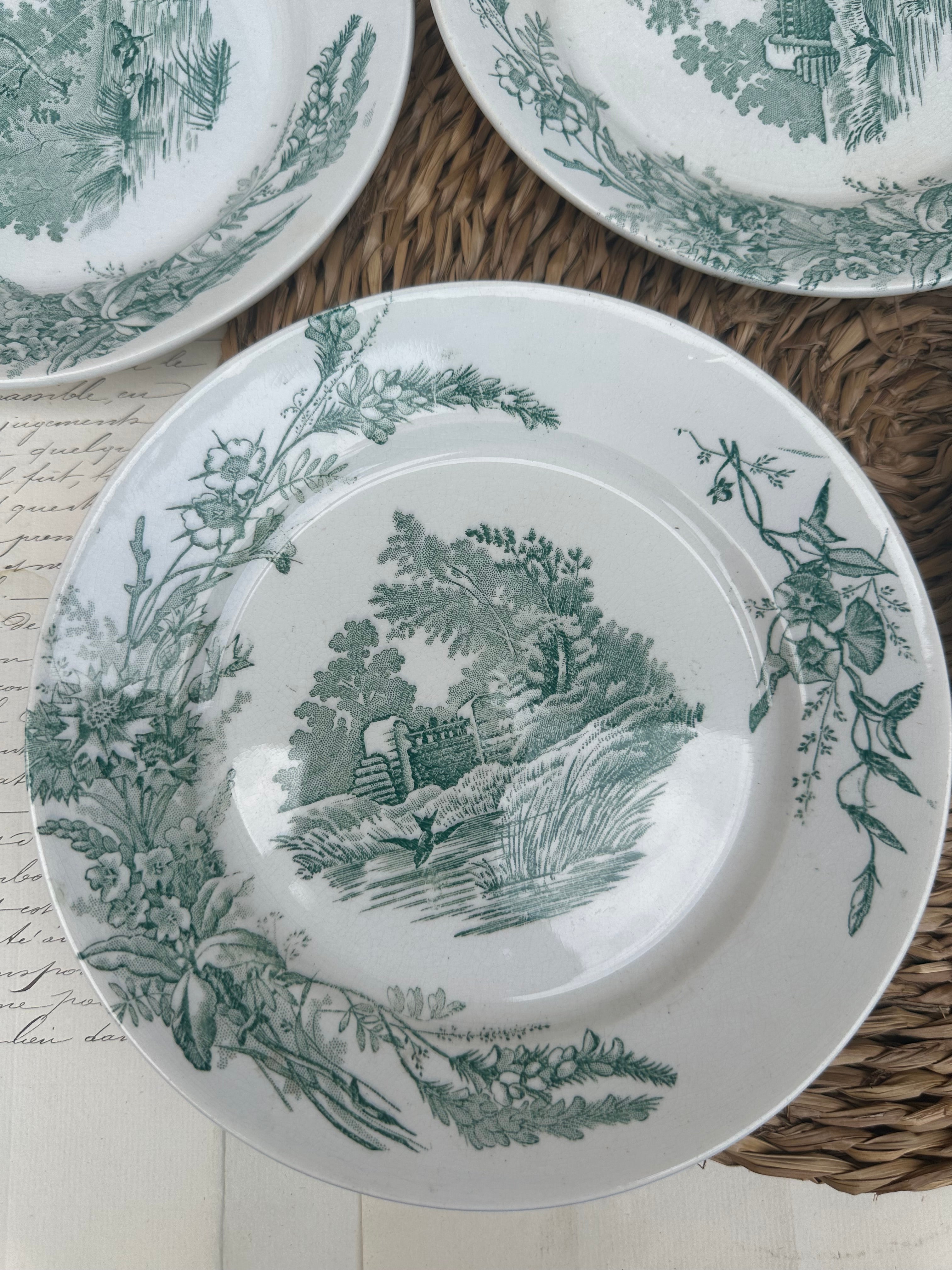 Suite de 4 assiettes à dessert Pexonne modèle Champêtre