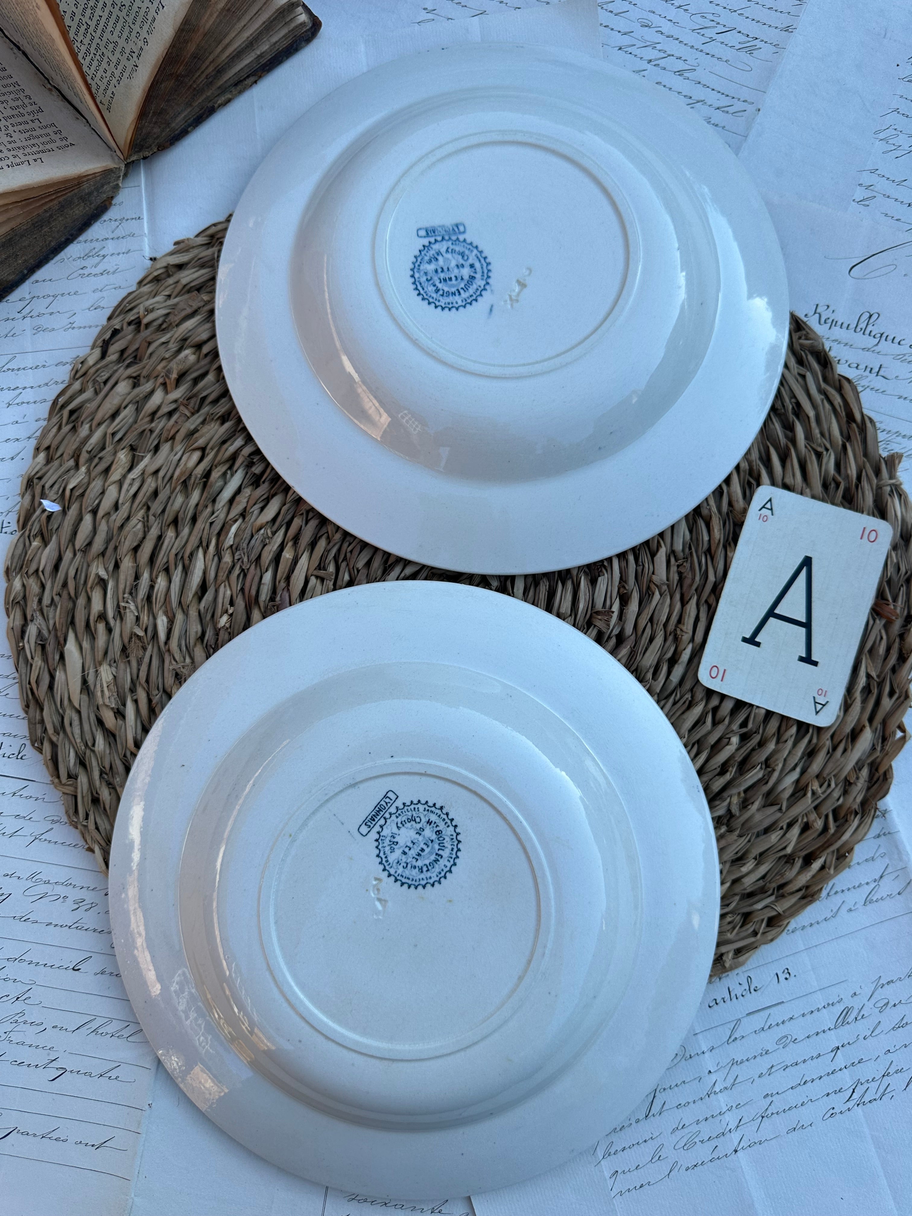 A. Duo d'assiettes creuses Choisy le Roi modèle Lyonnais