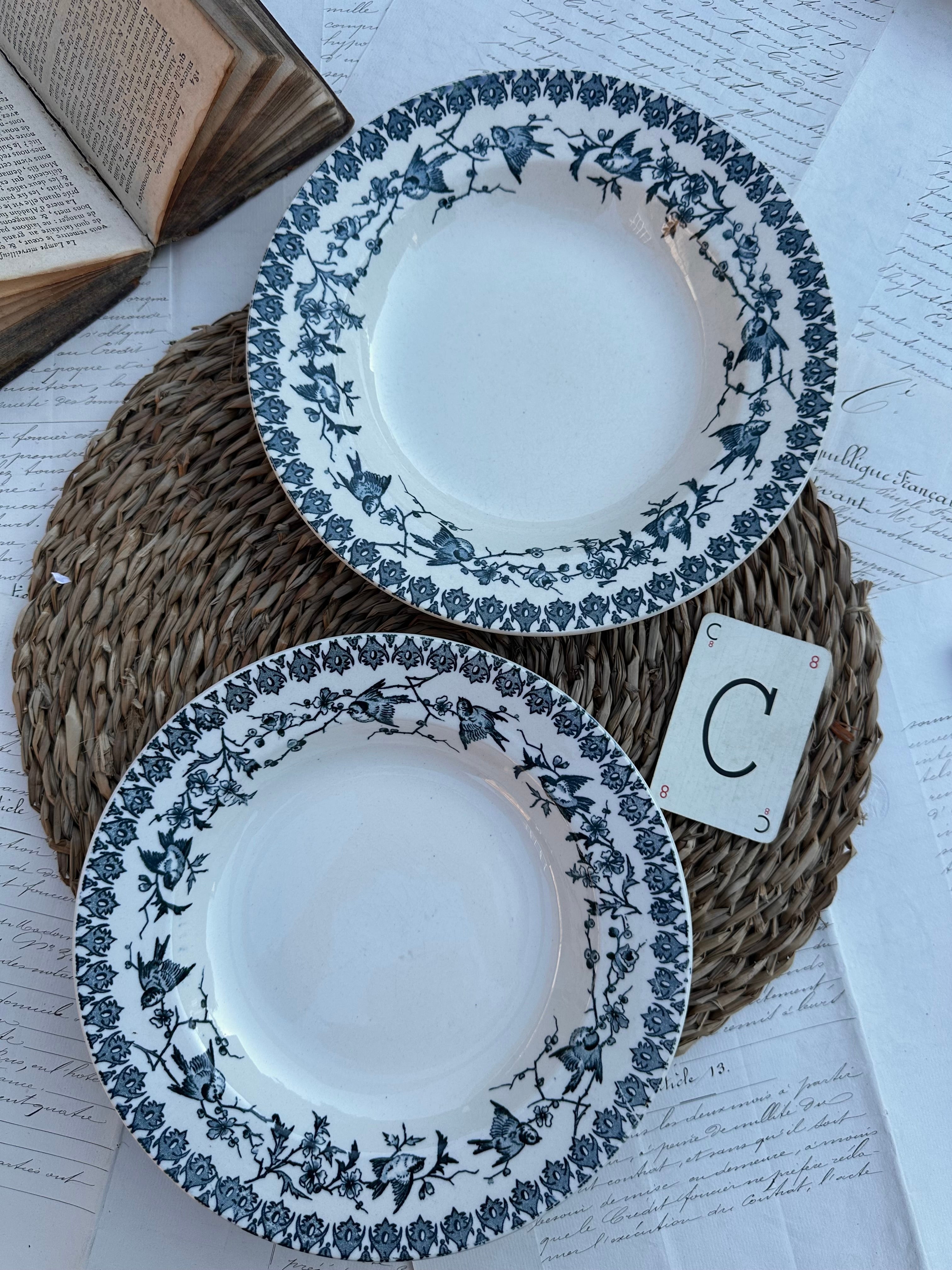 C. Duo d'assiettes creuses Choisy le Roi modèle Lyonnais