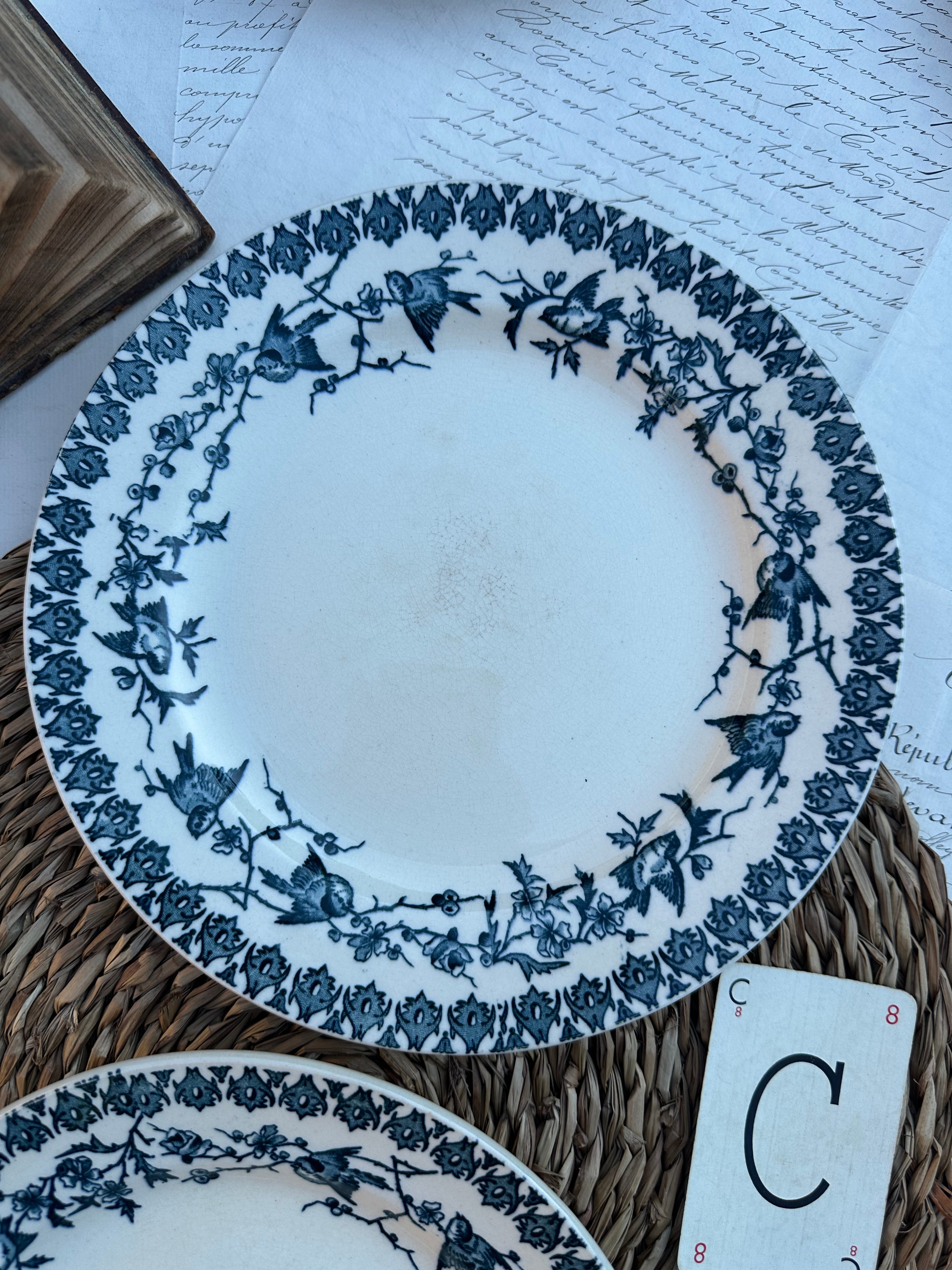 C. Duo d'assiettes plates Choisy le Roi modèle Lyonnais