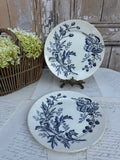 Duo d'assiettes BFK modèle Flora