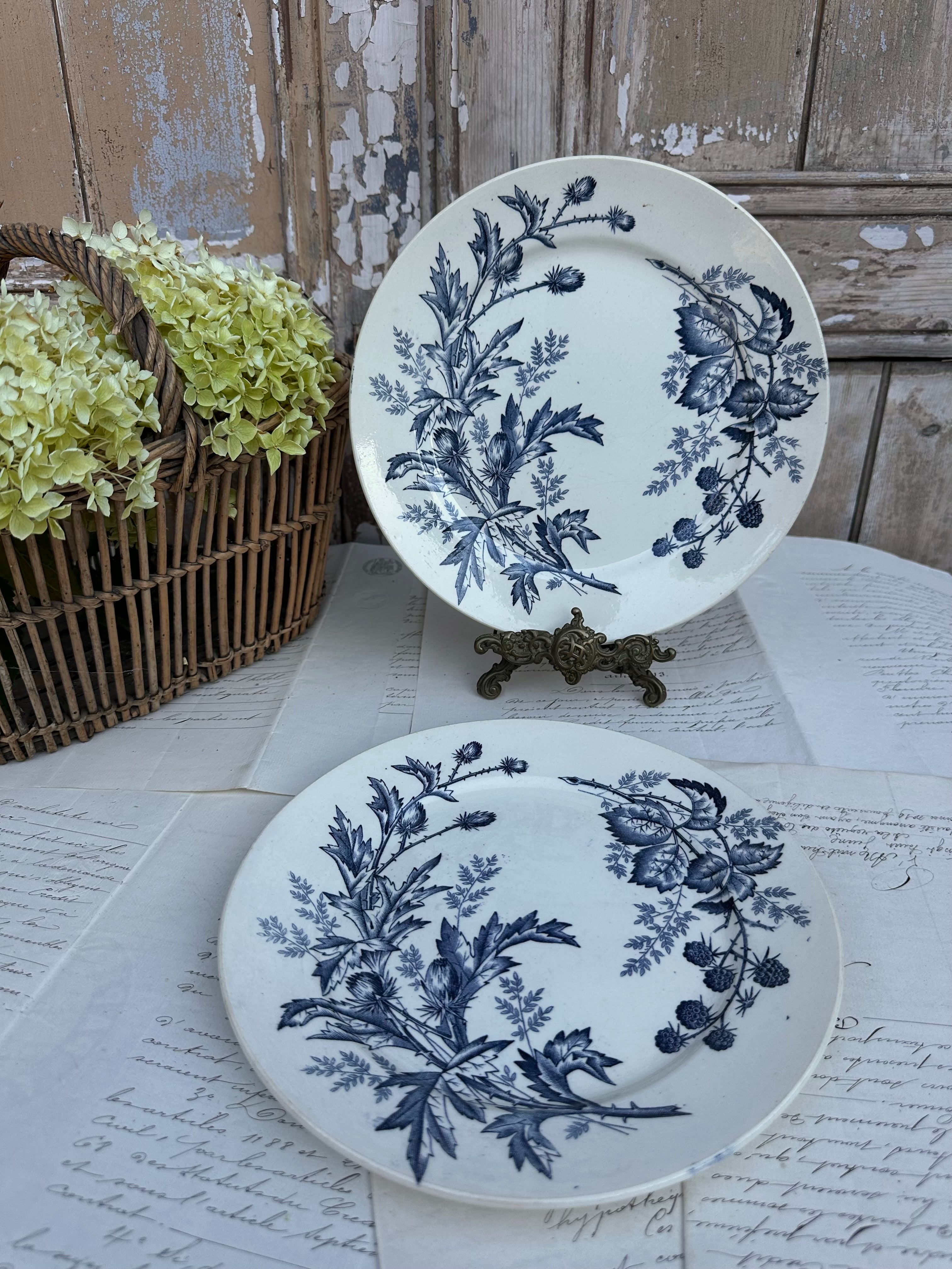 Duo d'assiettes BFK modèle Flora