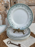 Suite de 6 assiettes plates St. Amand modèle Wilbur