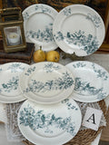 A. Suite de 6 assiettes à dessert Longwy modèle Mignon