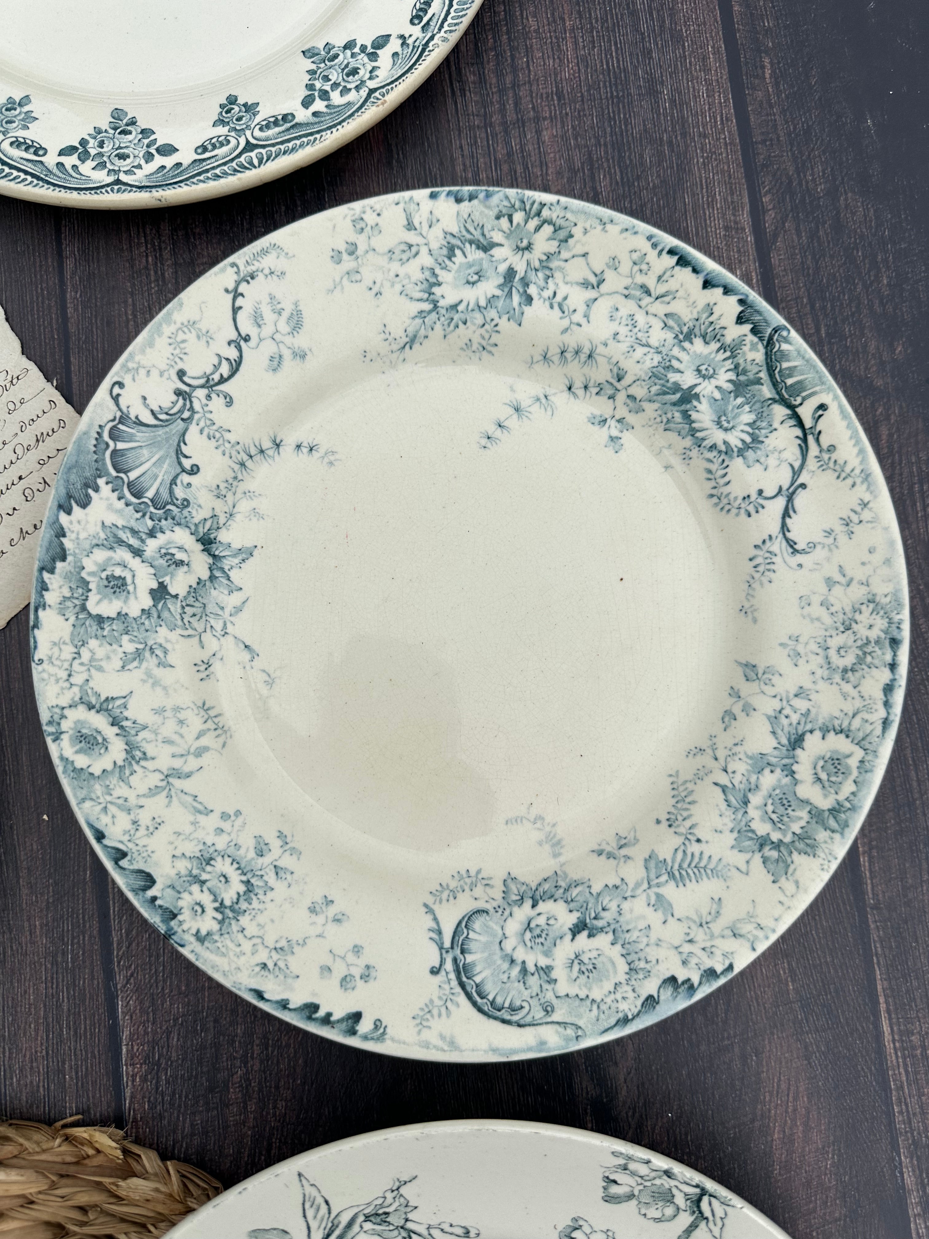 III. Suite de 6 assiettes plates terre de fer dépareillées