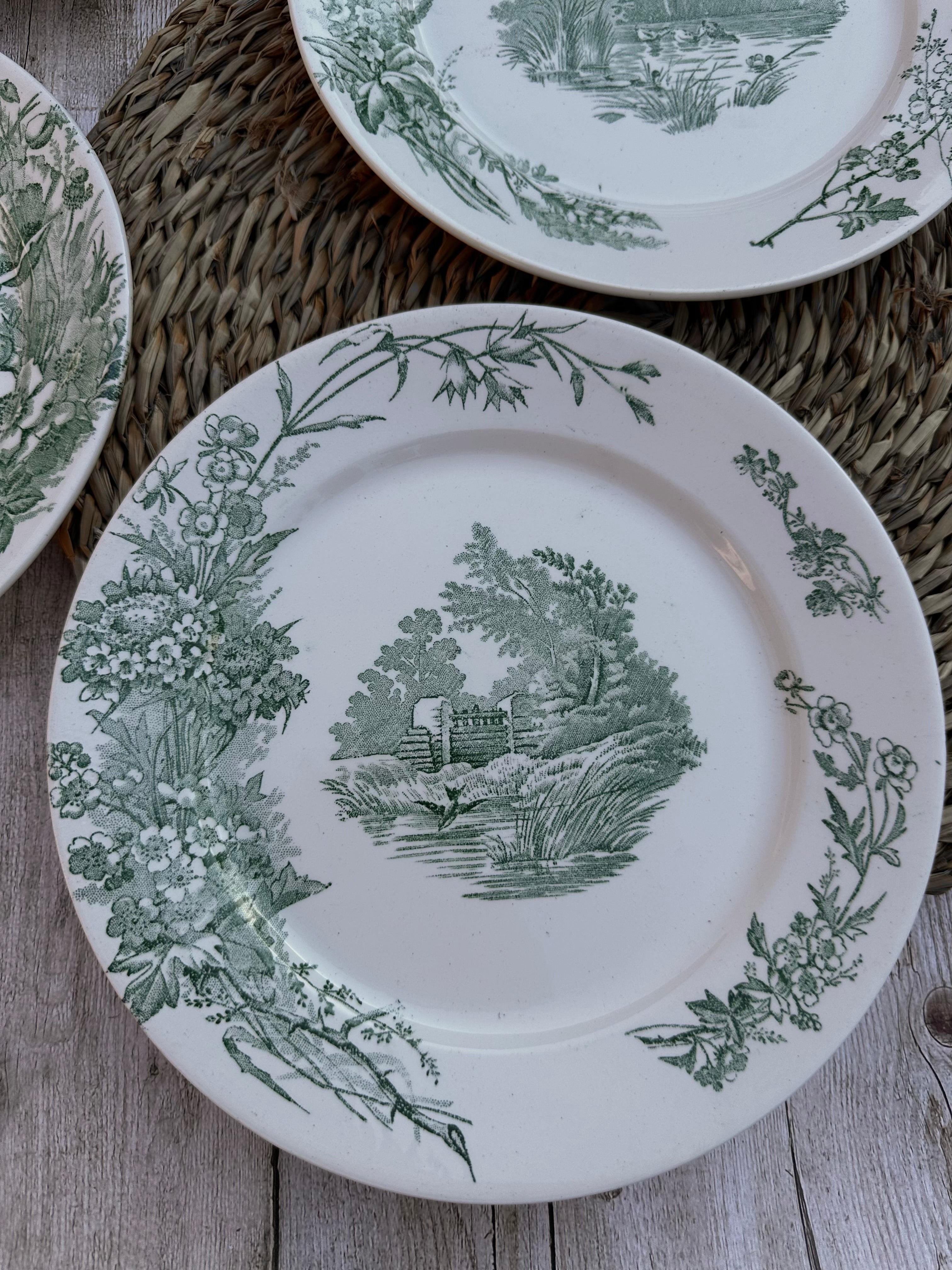Suite de 5 assiettes plates Pexonne modèle Champêtre