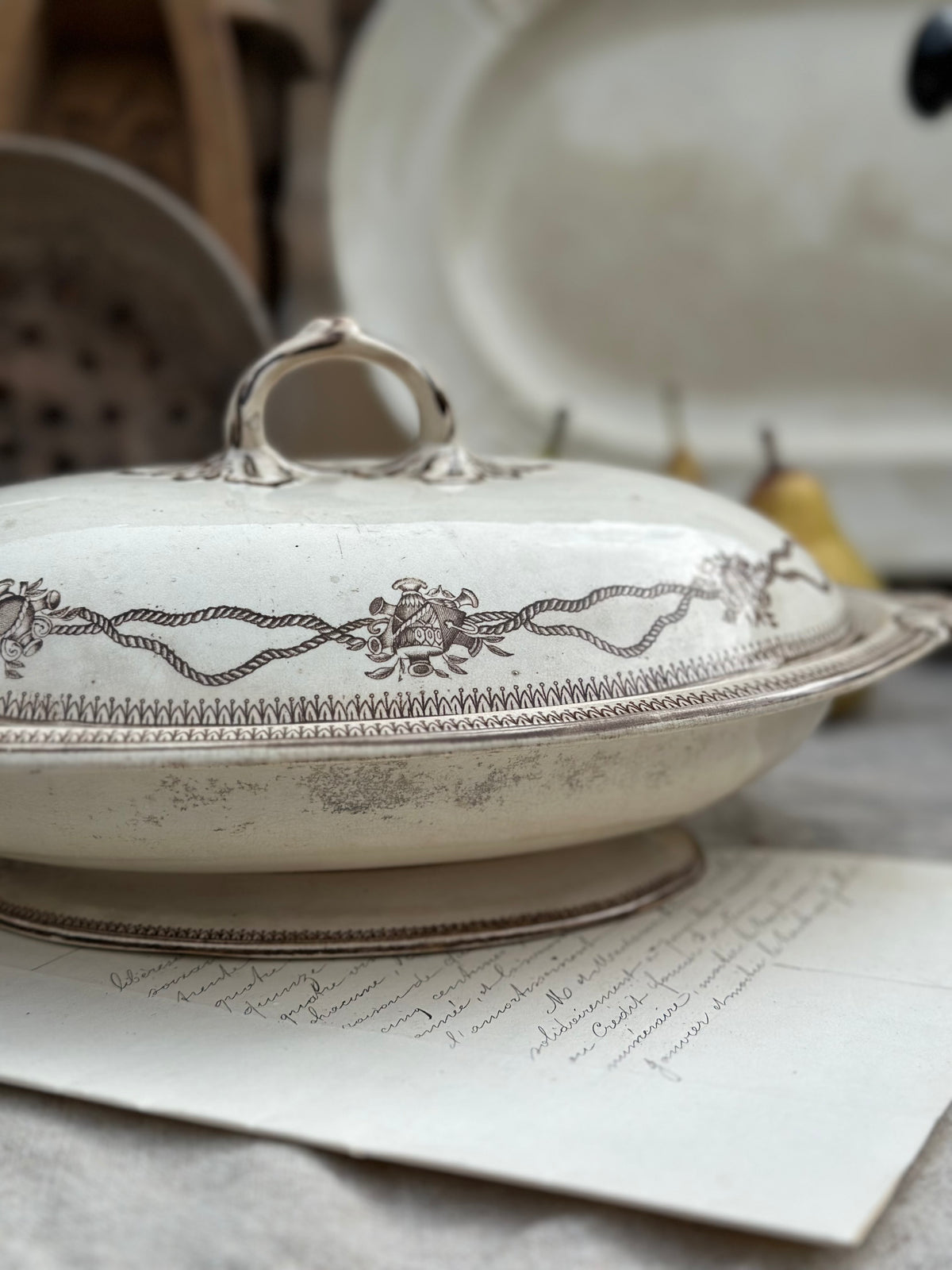 Légumier Primavesi & Sons Cardiff - XIXème