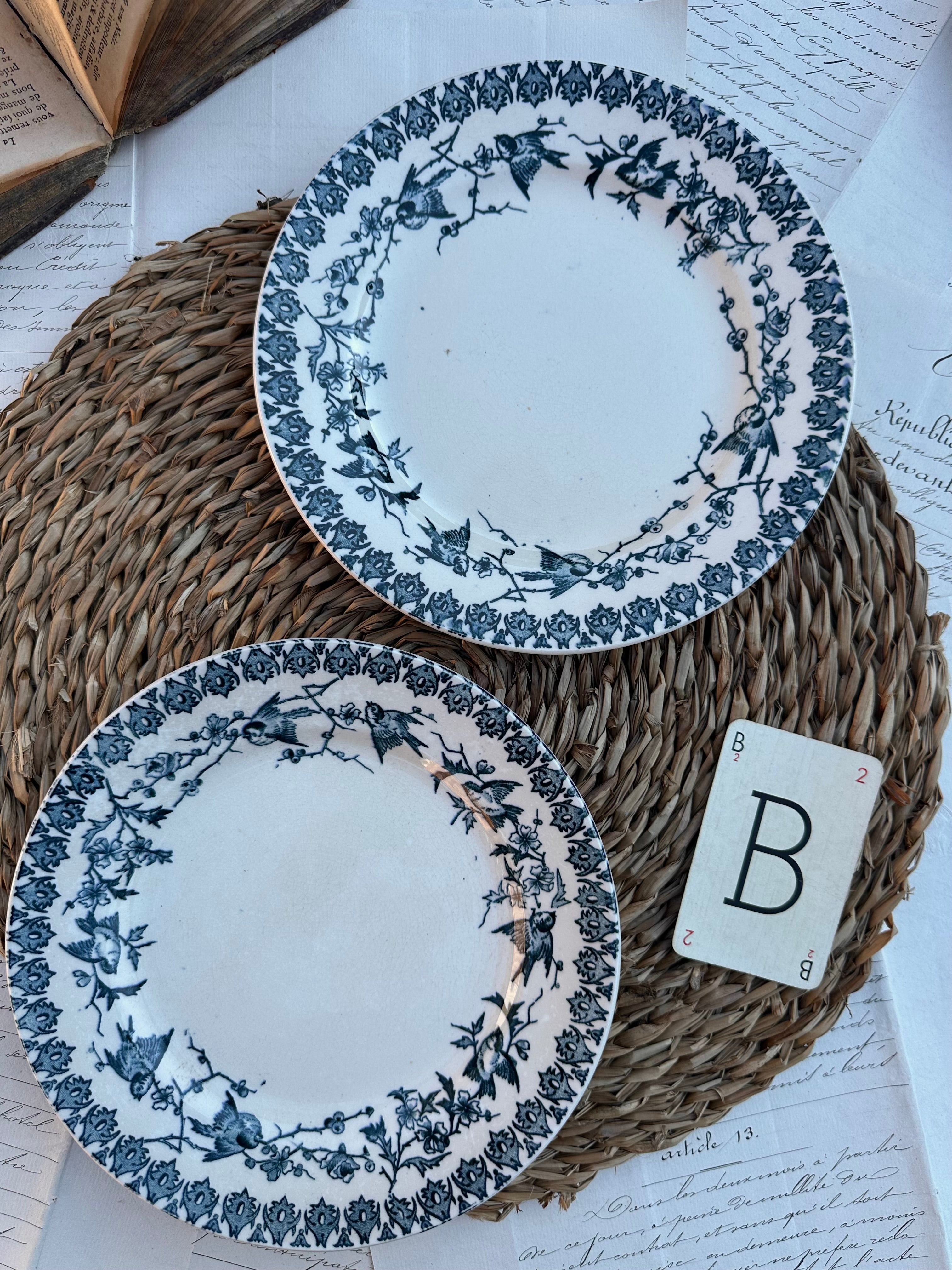 B. Duo d'assiettes à dessert Choisy le Roi modèle Lyonnais