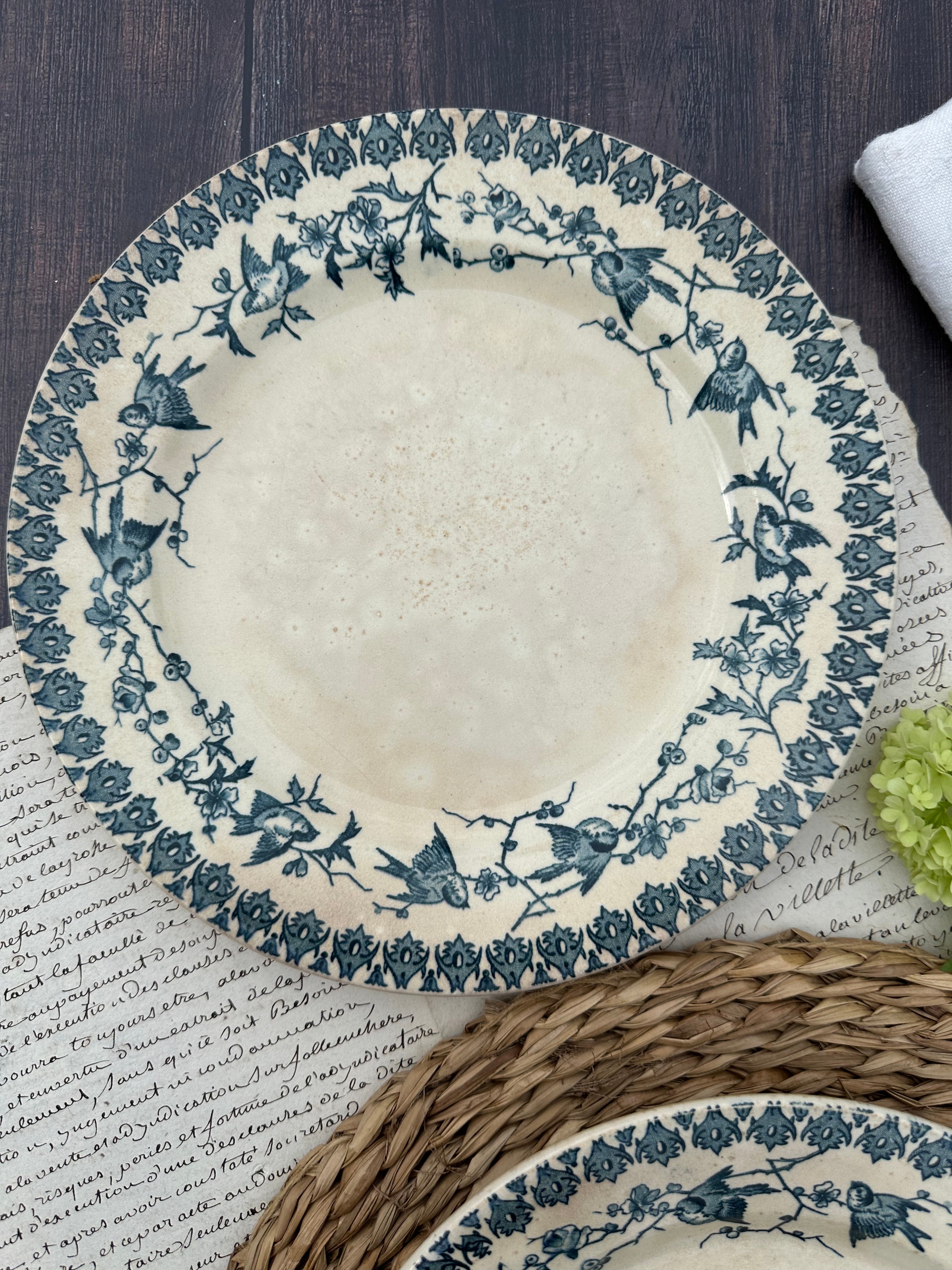 Reserved - 9 Choisy le Roi Lyonnais pattern plates (8 dinner plates and one dessert plate)