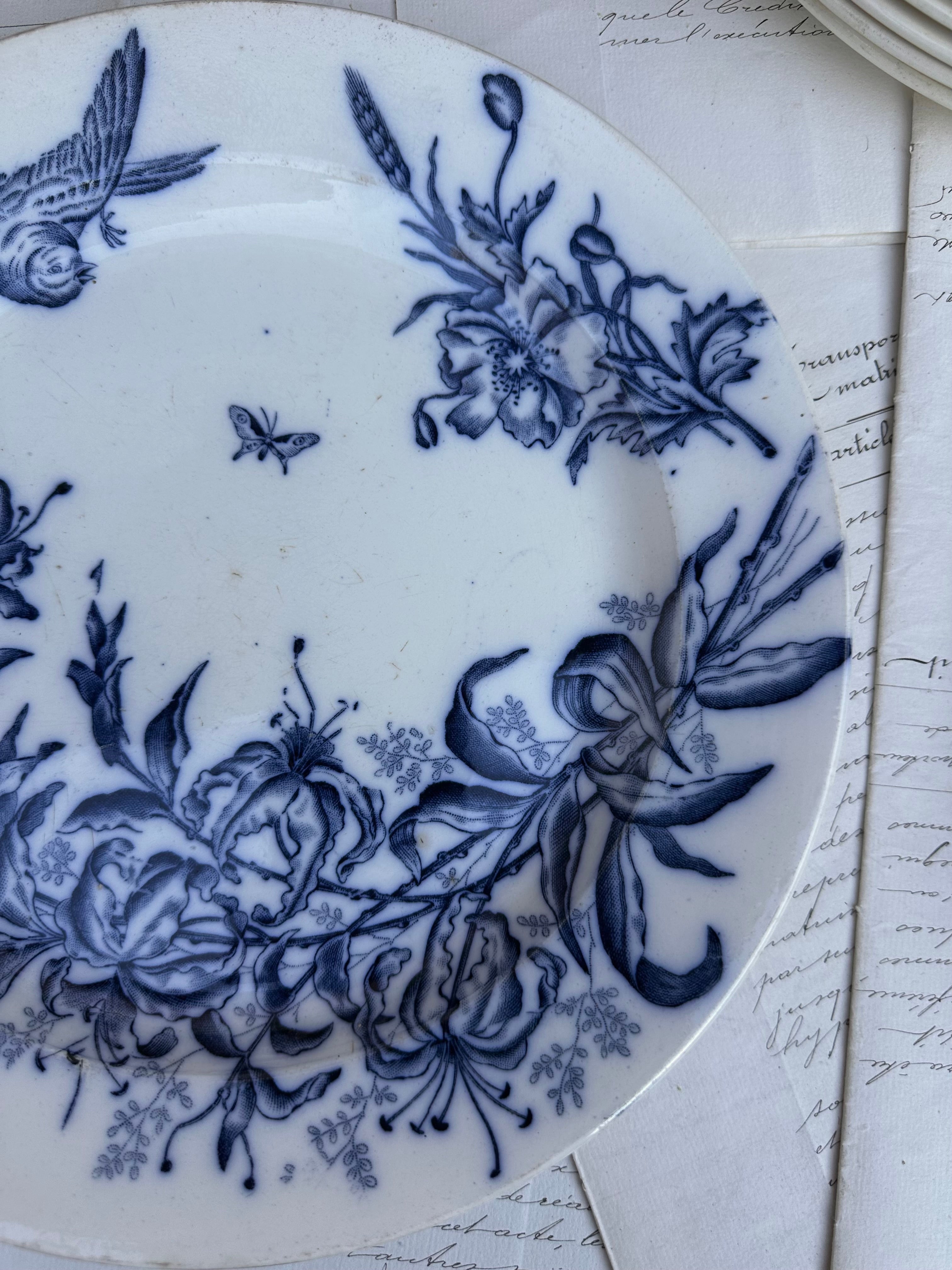 BFK round dish Flora model