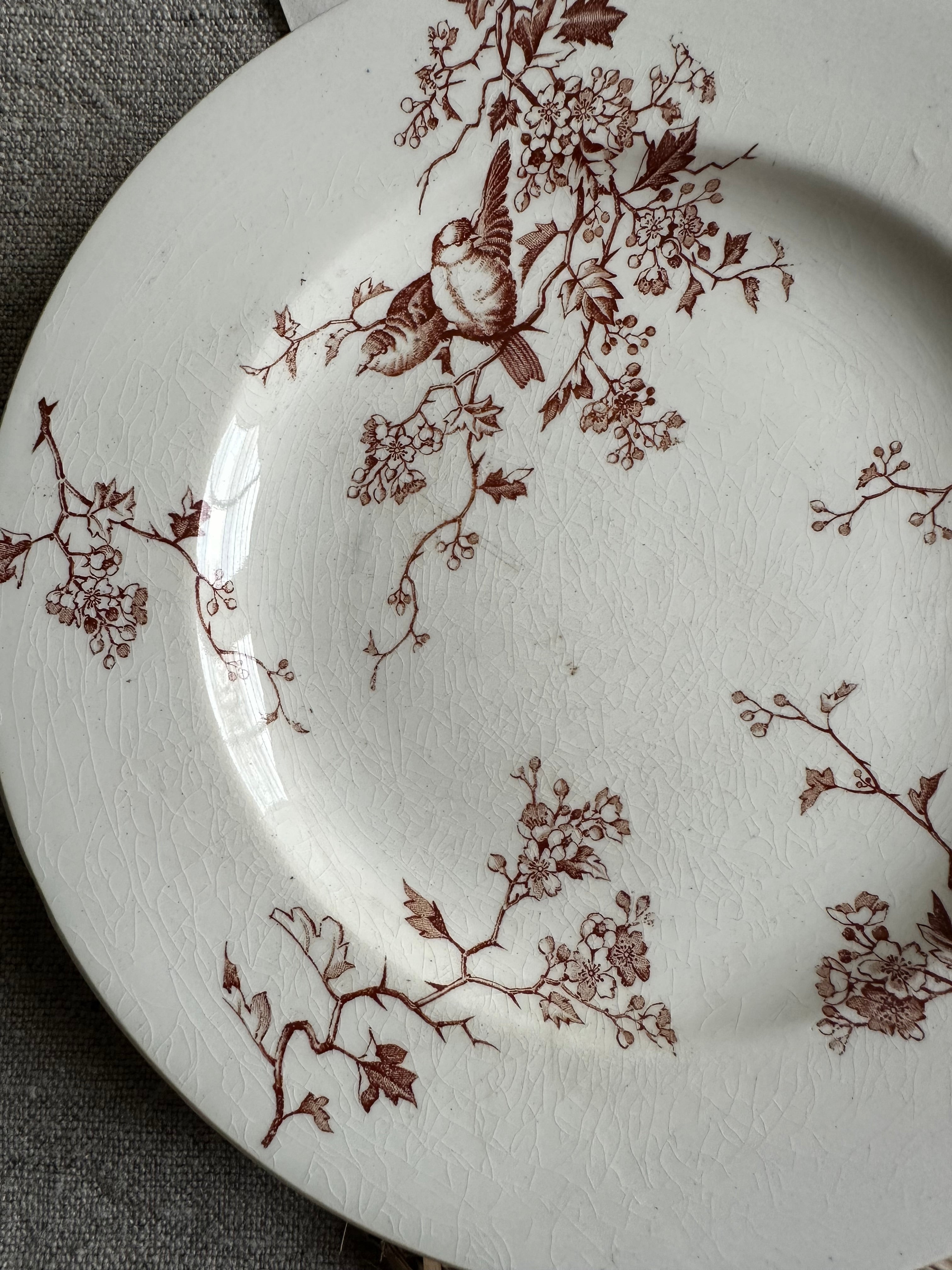 Suite de 6 assiettes à dessert dépareillées, Lunéville Fauvette, Badonviller Marine