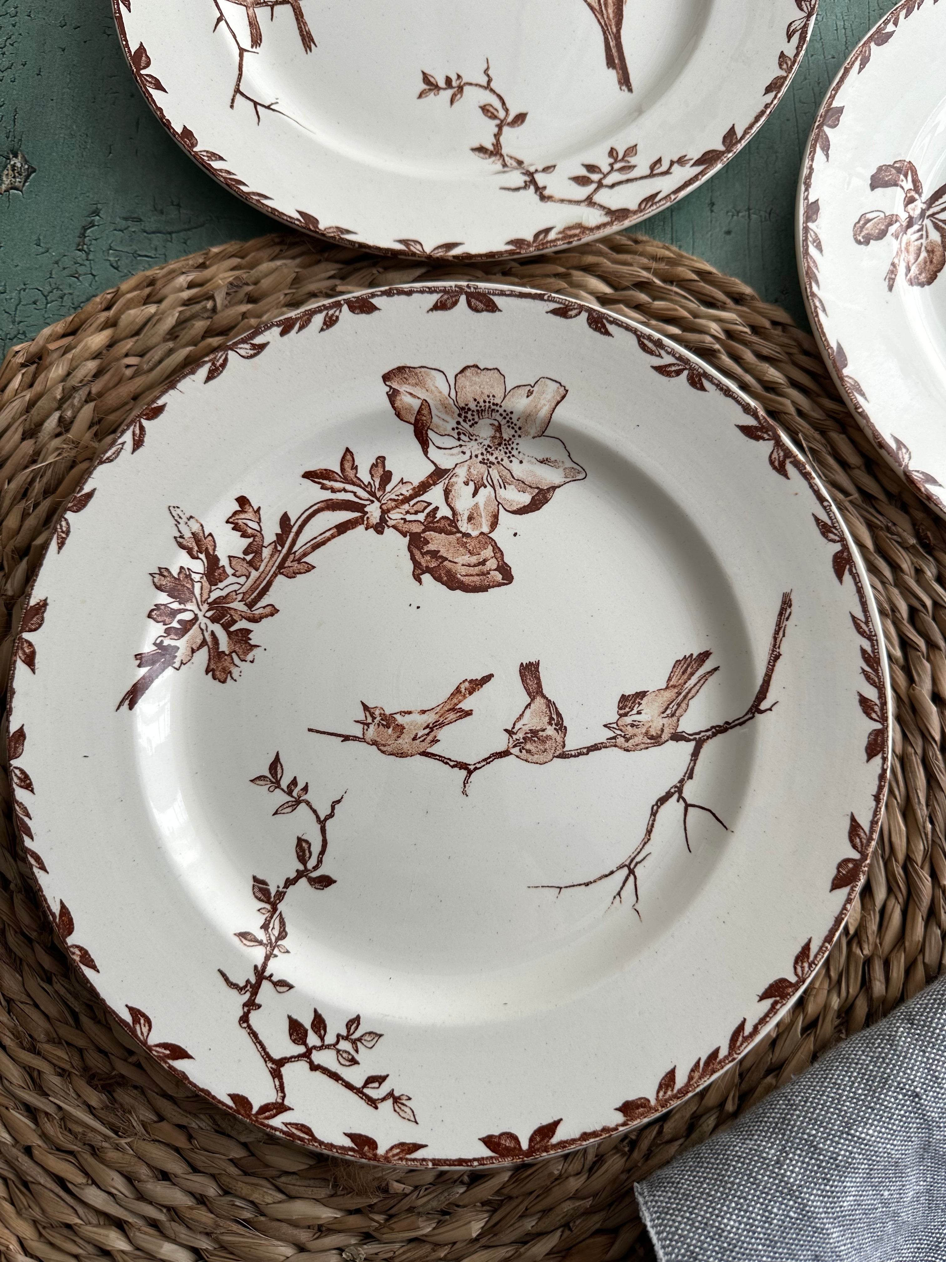 Suite de 4 assiettes plates Choisy le Roi modèle Oxford