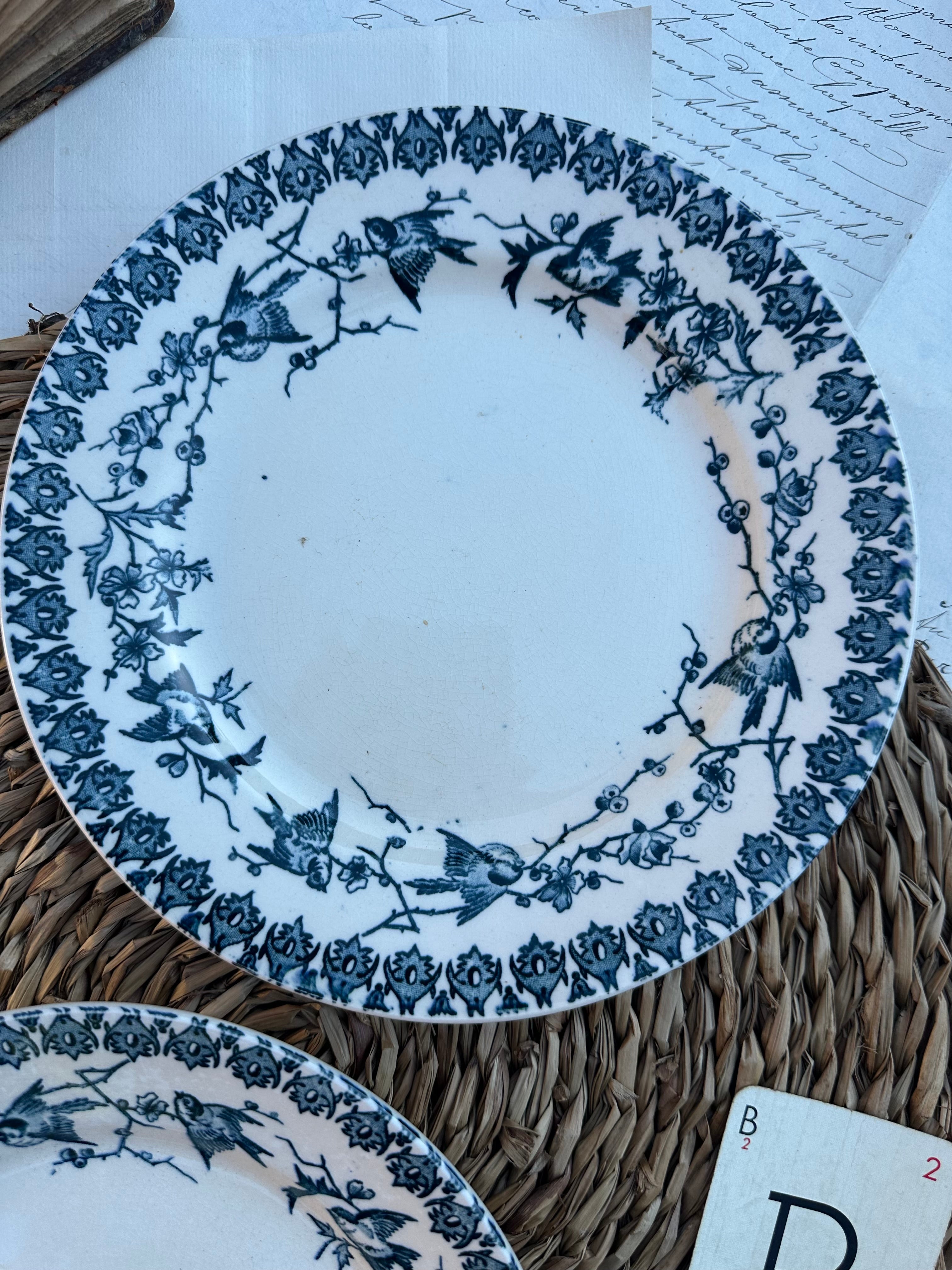 B. Duo d'assiettes à dessert Choisy le Roi modèle Lyonnais
