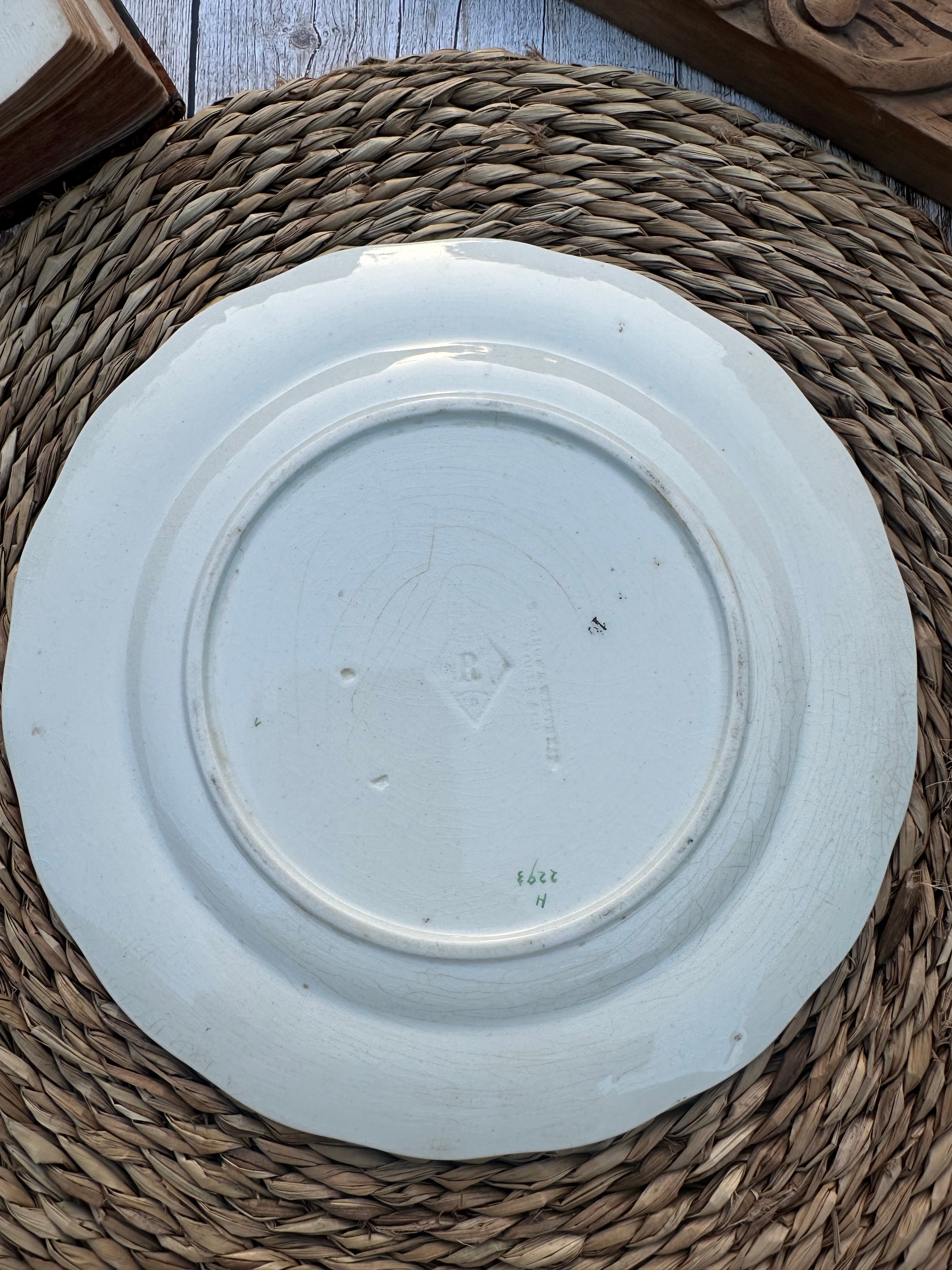 Assiette polychrome BWM & Co (Brown Westhead Moore) - Septembre 1868