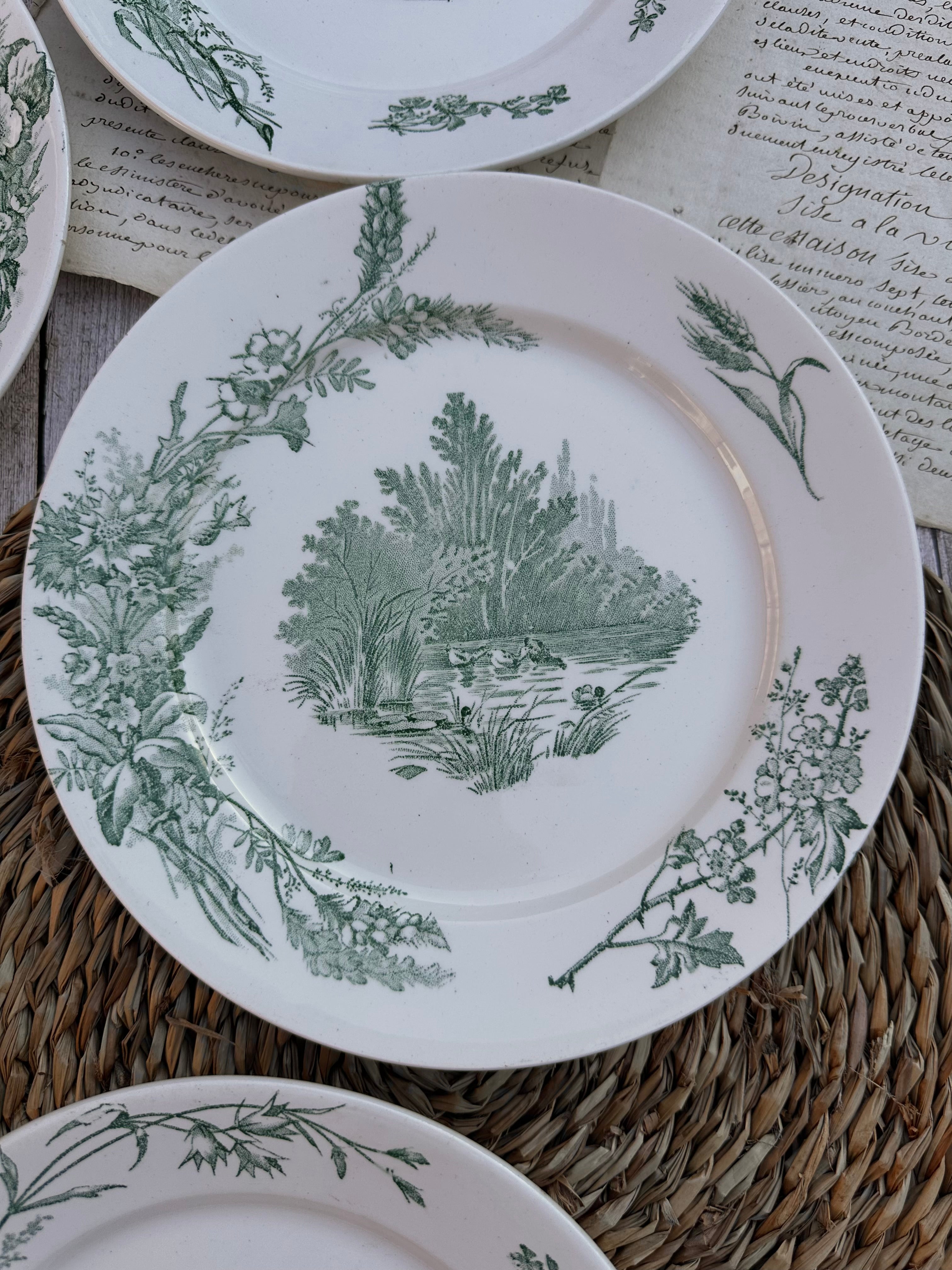 Suite de 5 assiettes plates Pexonne modèle Champêtre